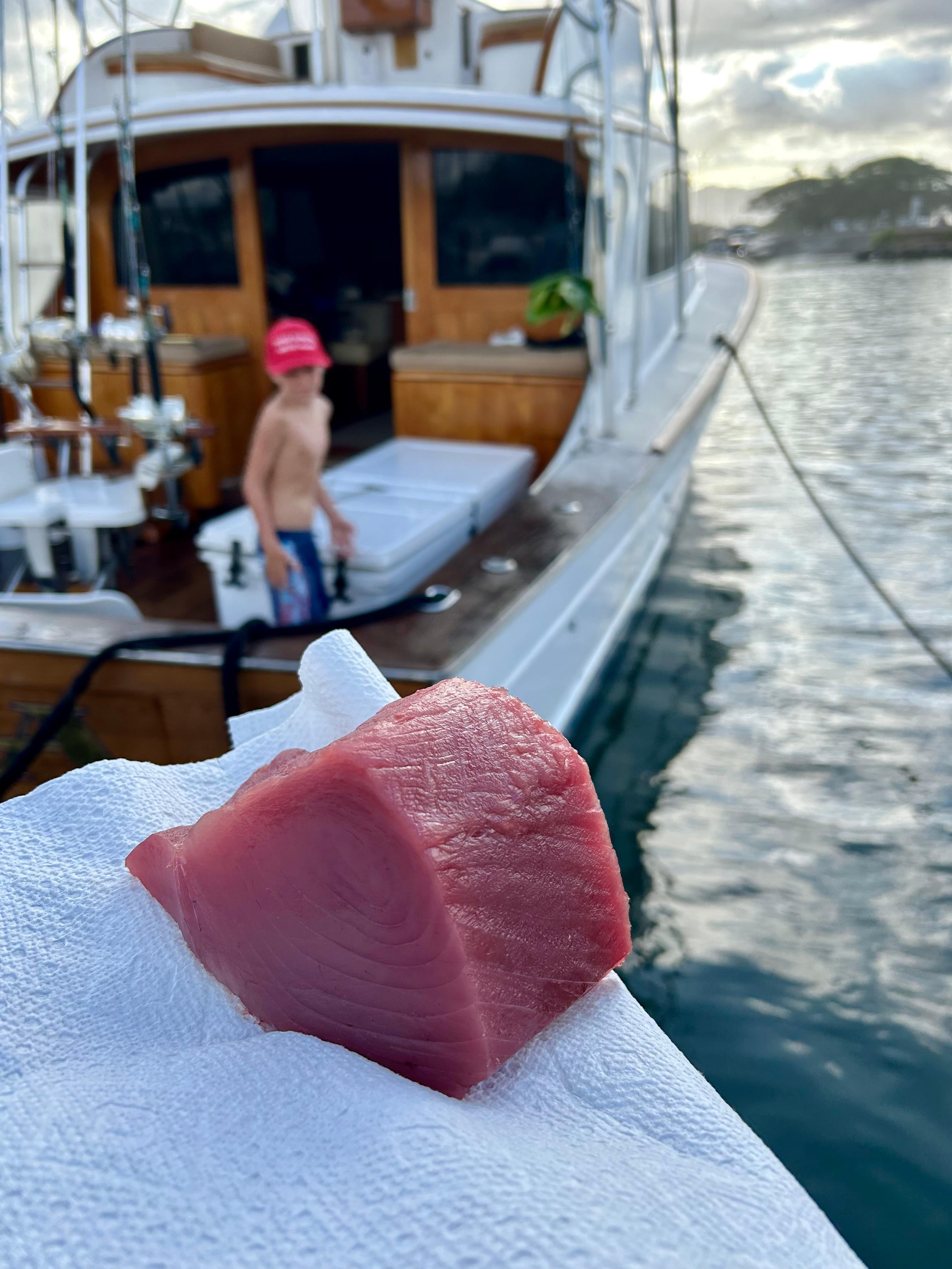 a bit’o ahi tuna we caught