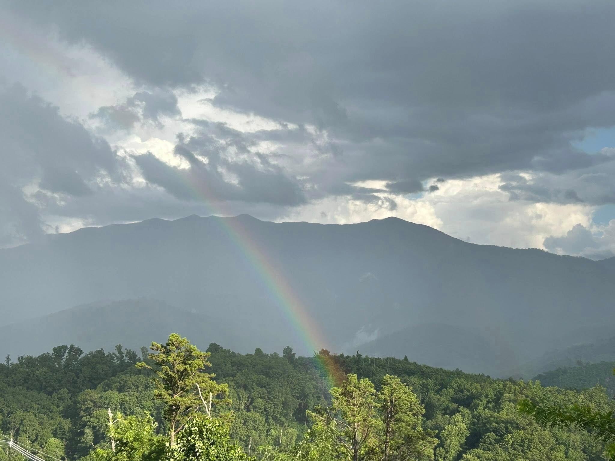 We arrived at nighttime and were surprised to wake up to this view.