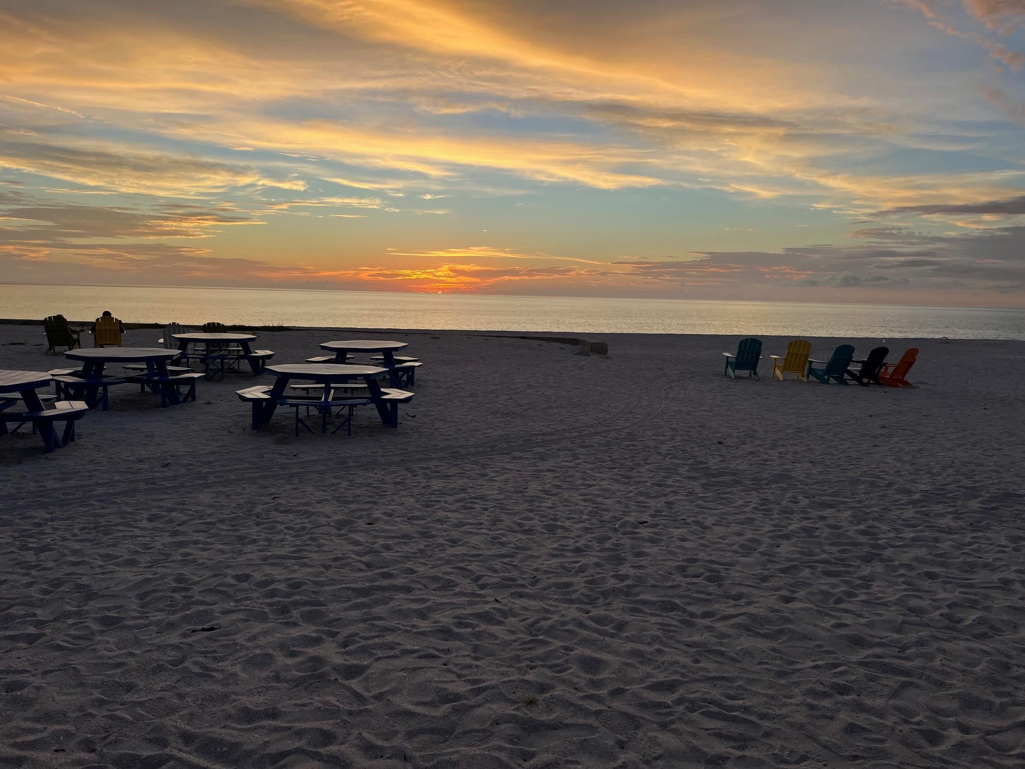 South Beach Bar & Grille