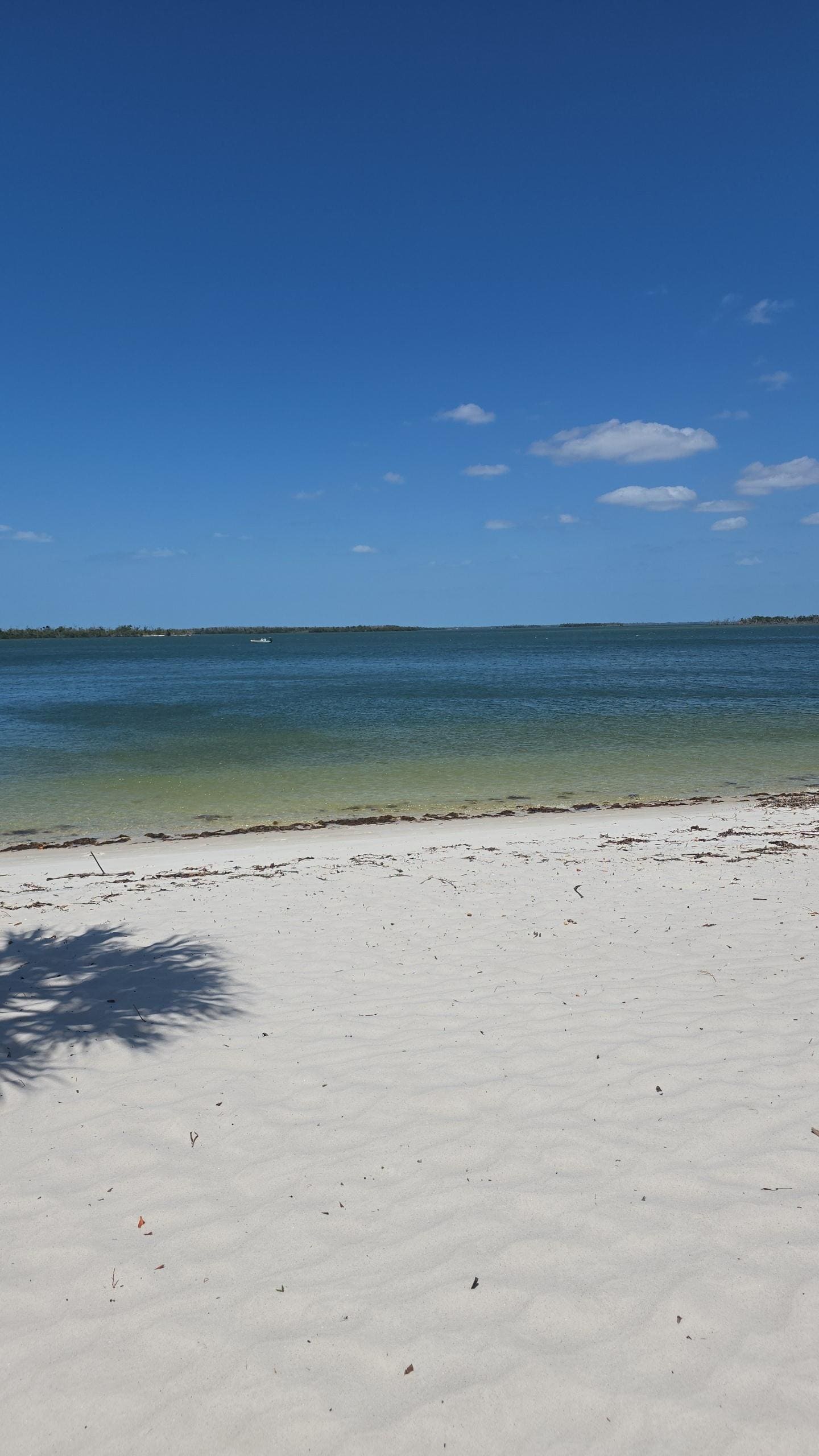 View from beach