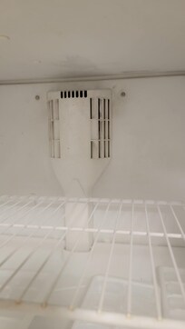 Inside of freezer filter has black dirt.
