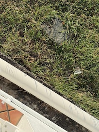 Baggies of tobacco and weed, rolling papers, general trash also