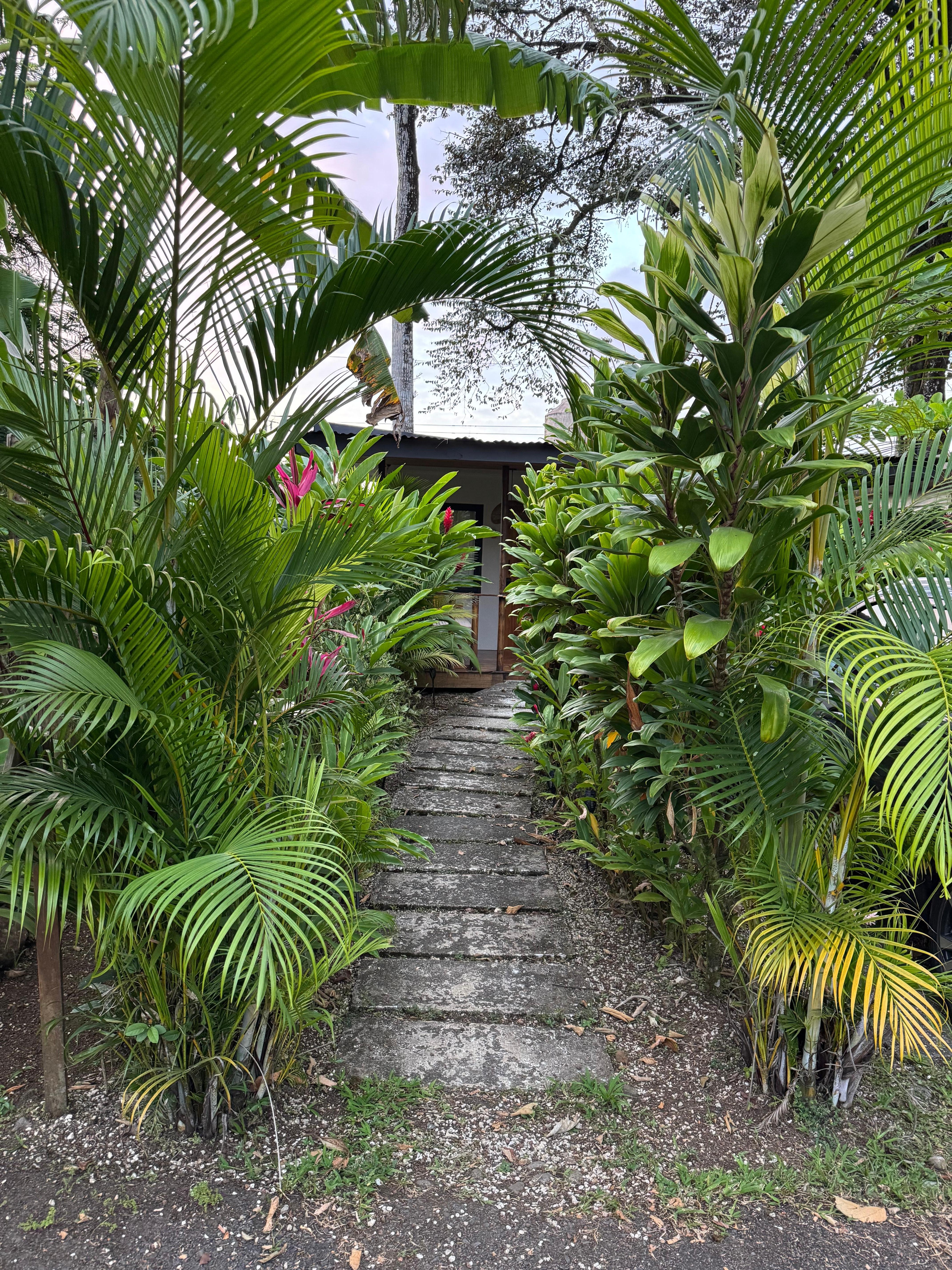 Lovely foliage everywhere