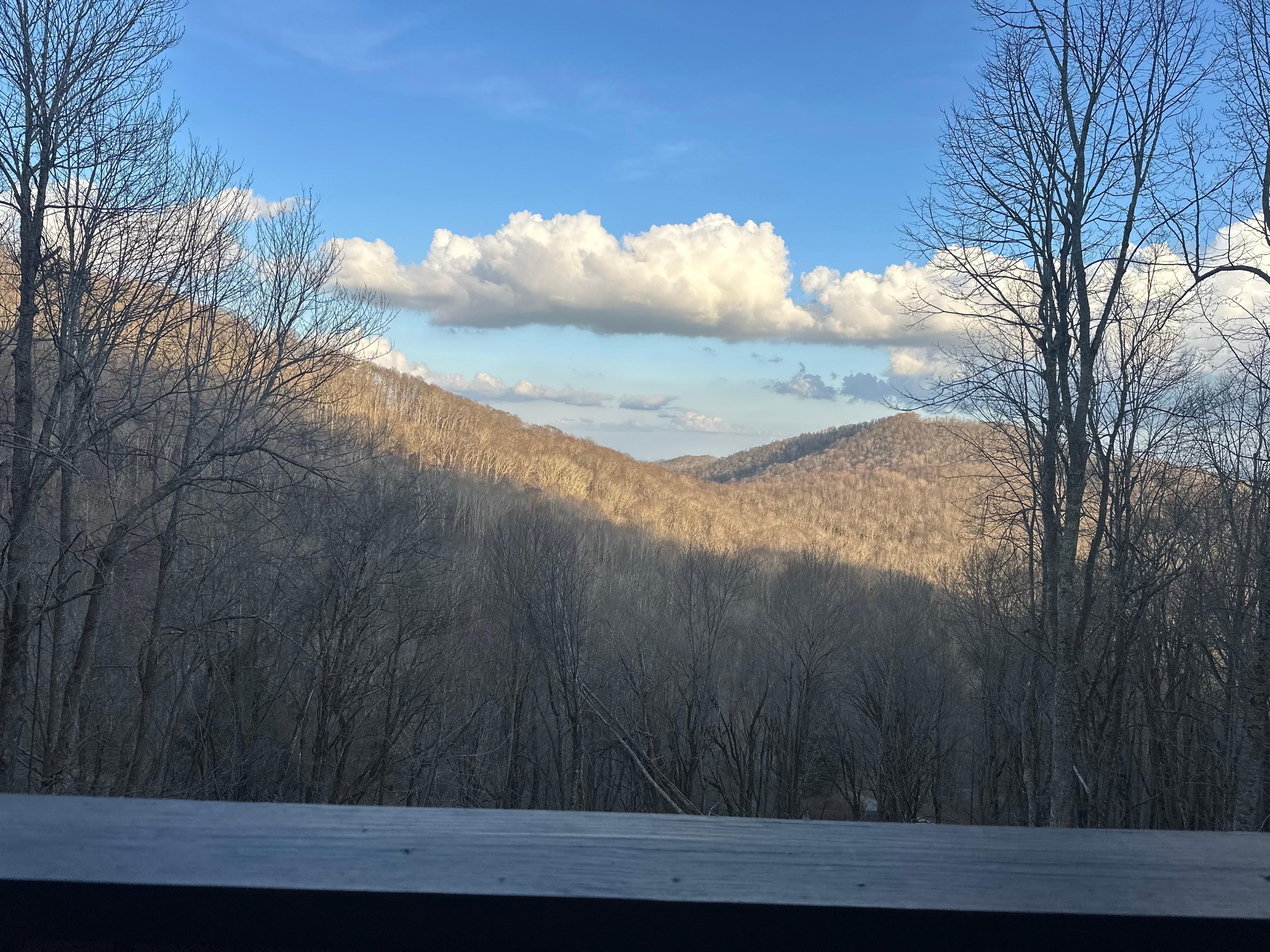 Our view every morning 