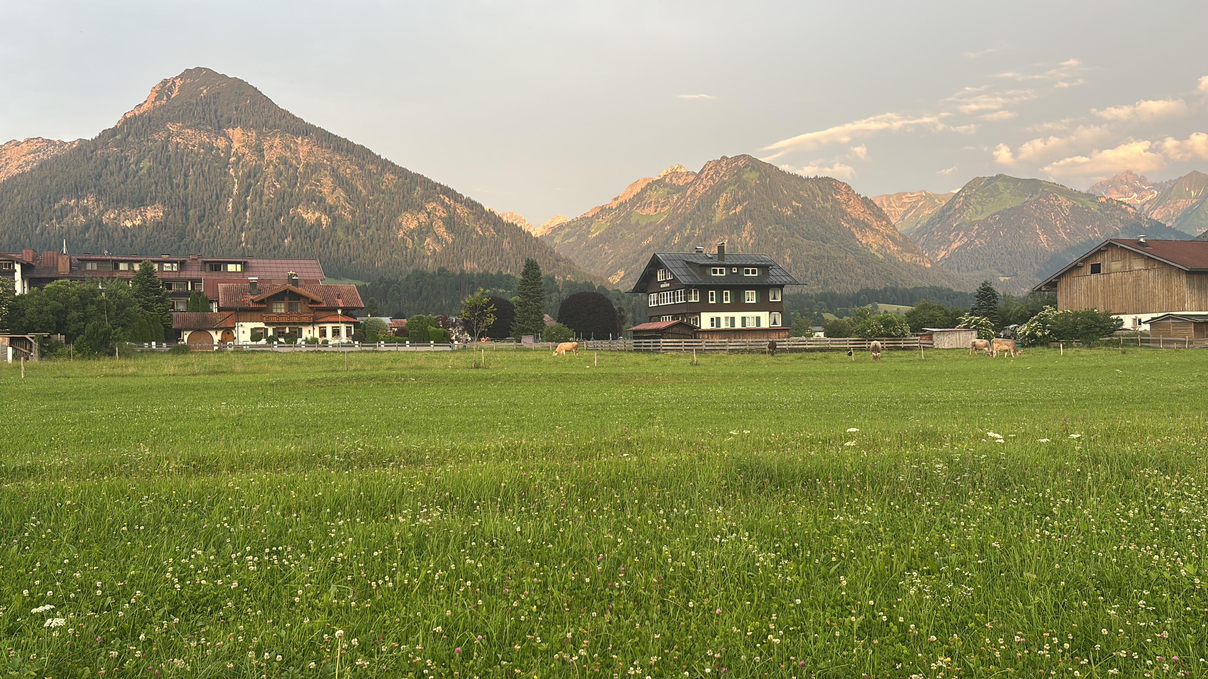 Umgebung 