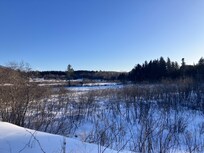 View from snowshoe trail just behind the house