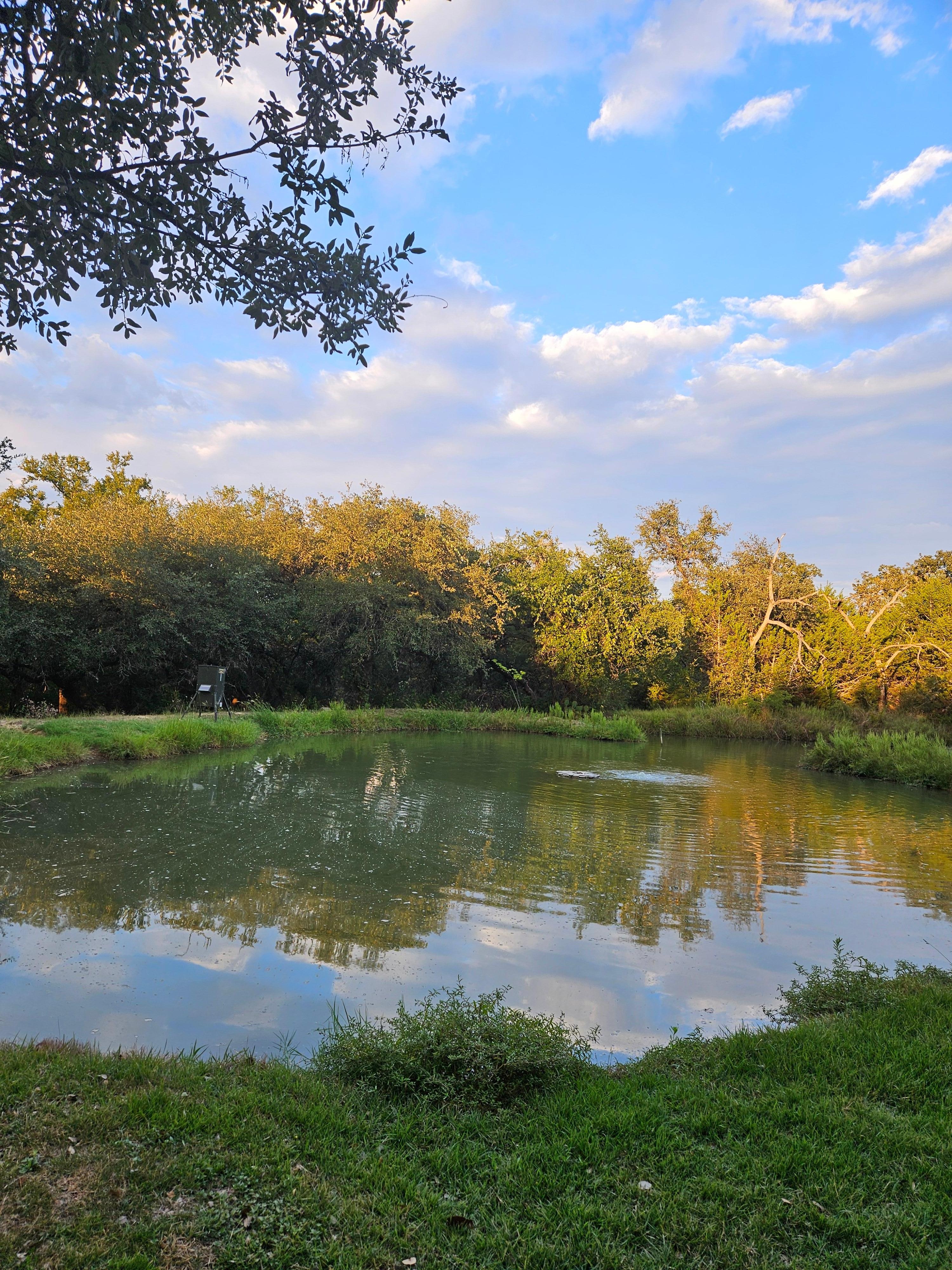 Beautiful pond and gathering area.