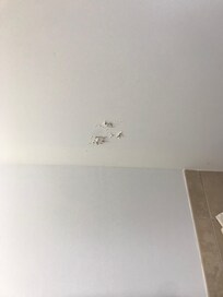 Bathroom ceiling