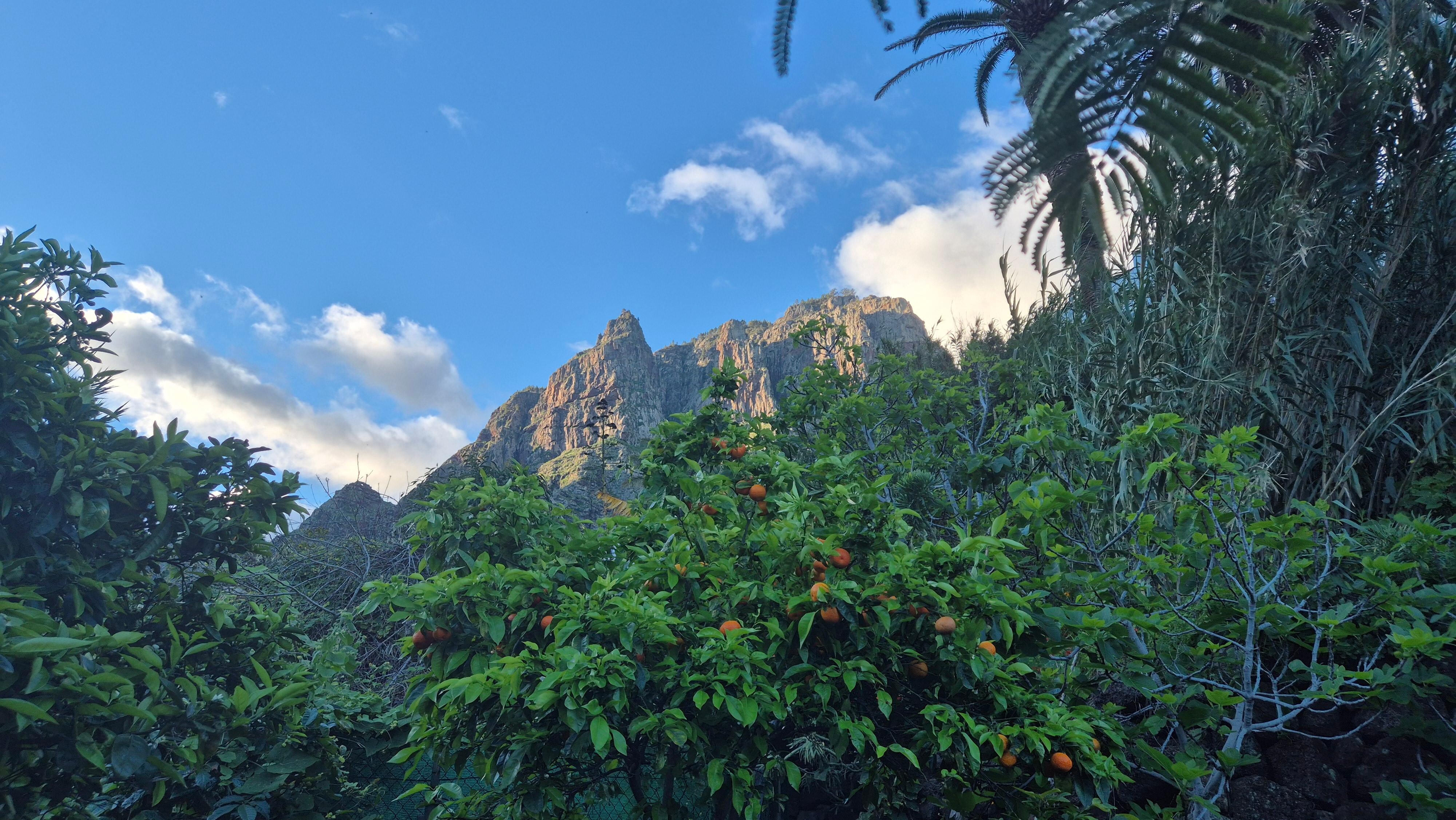 Blick von der Terrasse auf die umliegenden Berge 