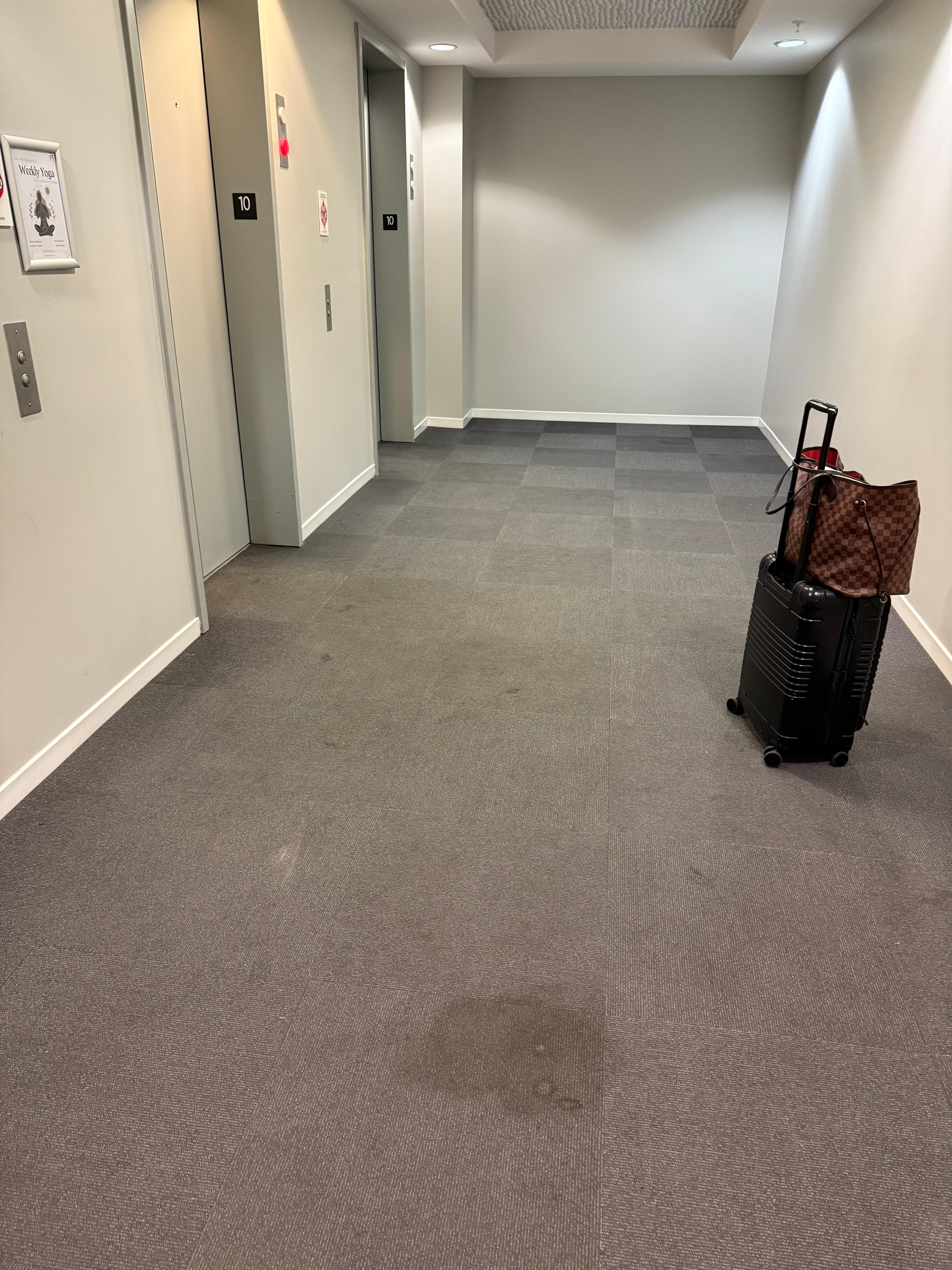 Dirty/stained carpet 