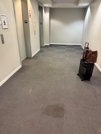 Dirty/stained carpet