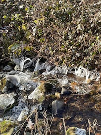 Bach in der Nähe schön zu laufen