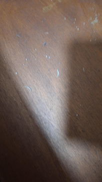Nail clippings in the chest of drawers in the ensuite