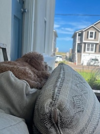 My little man relaxing on the front porch