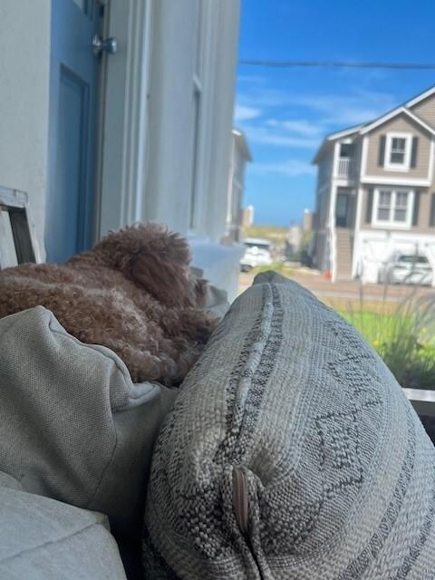 My little man relaxing on the front porch