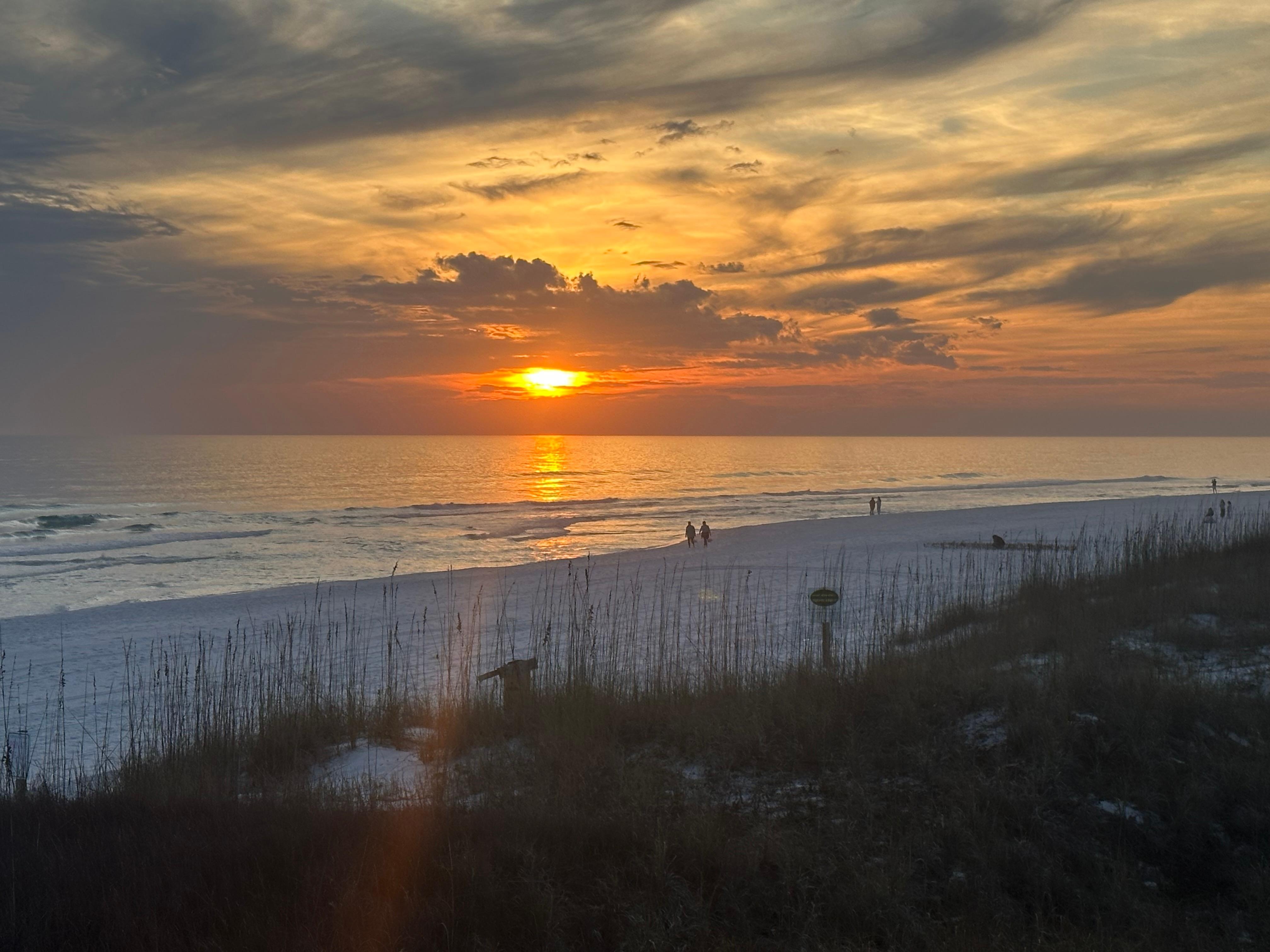 Taken across the street at the beach