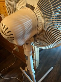 One of the filthy fans