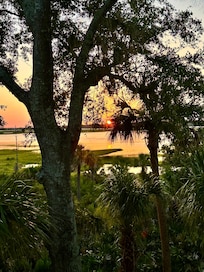 View from the back deck.