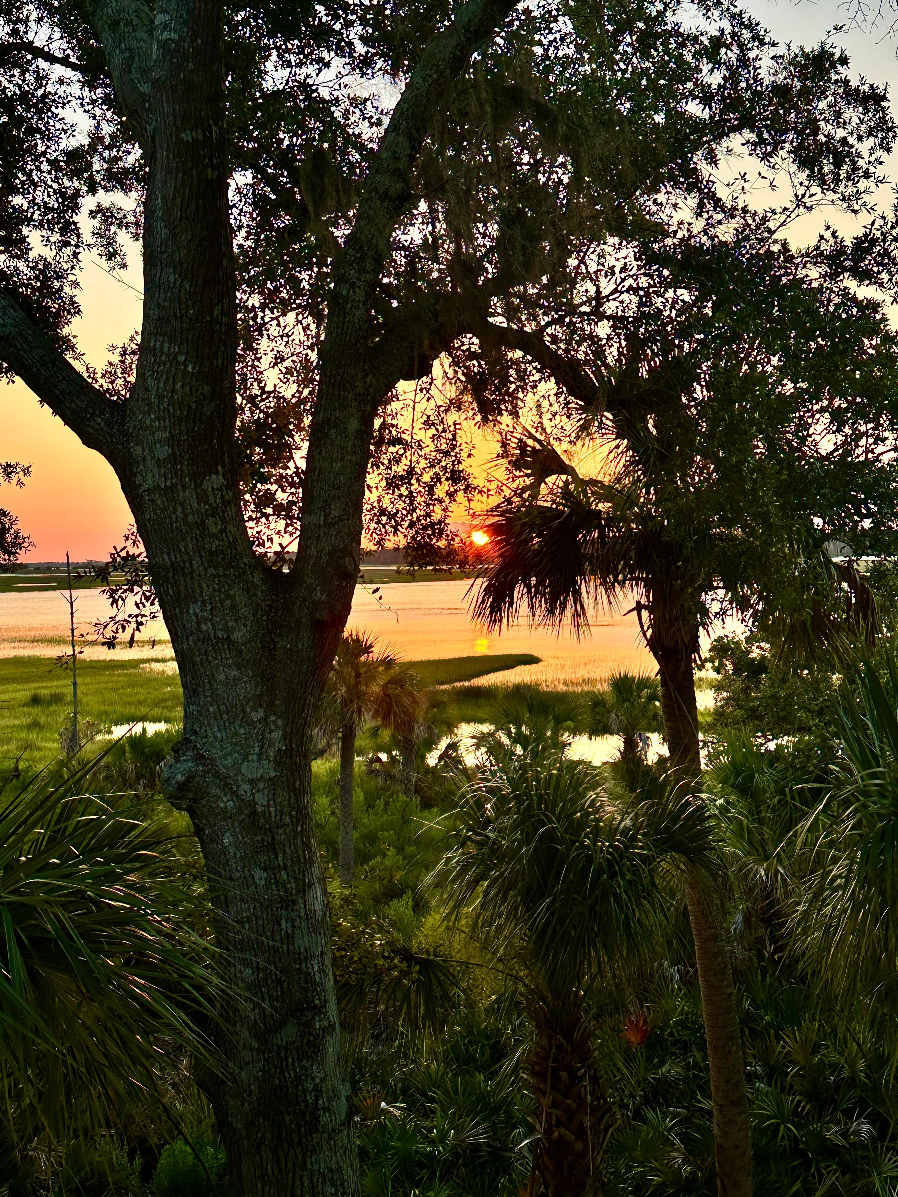 View from the back deck. 