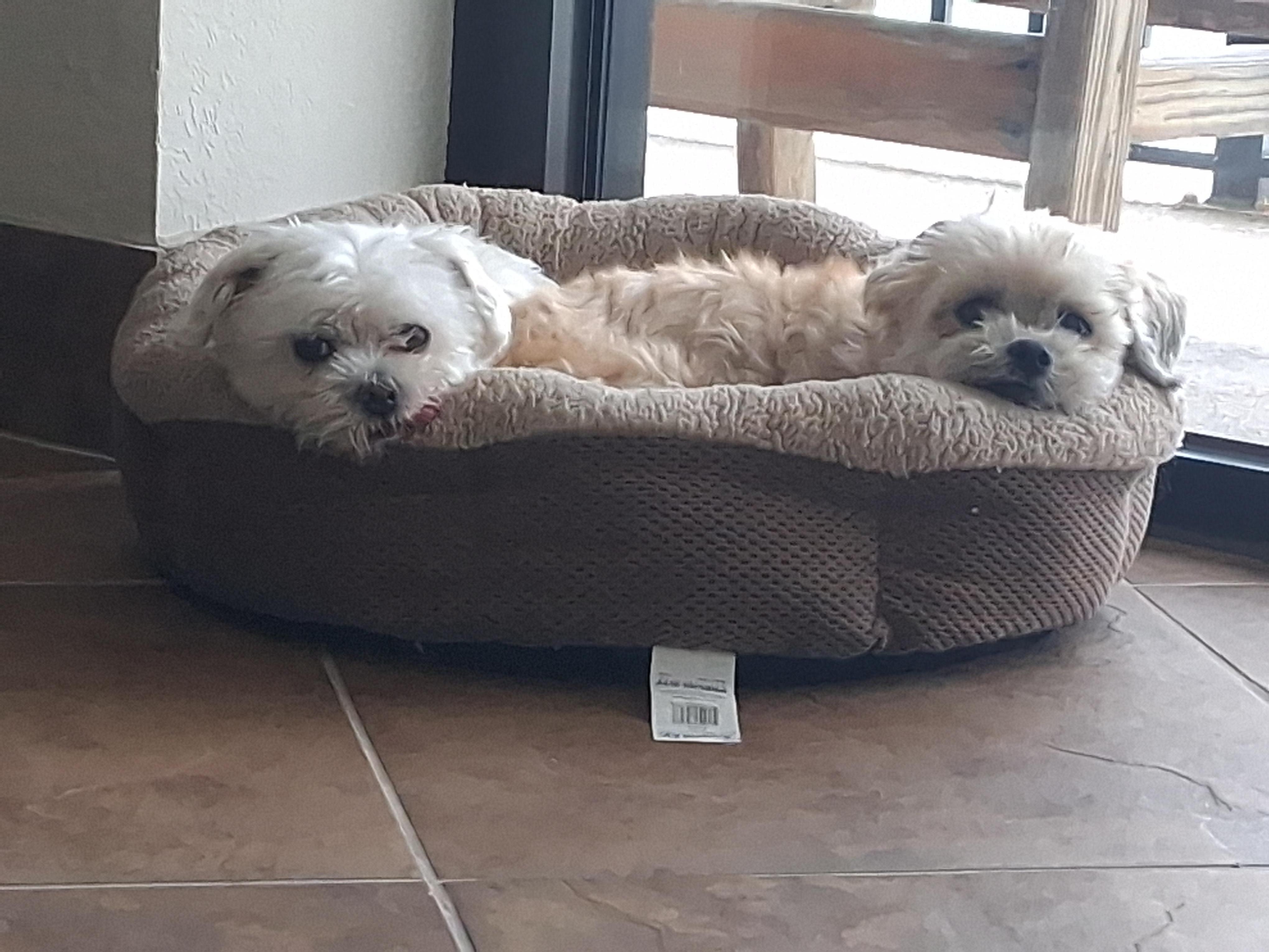 Sandie & Ollie enjoying our stay