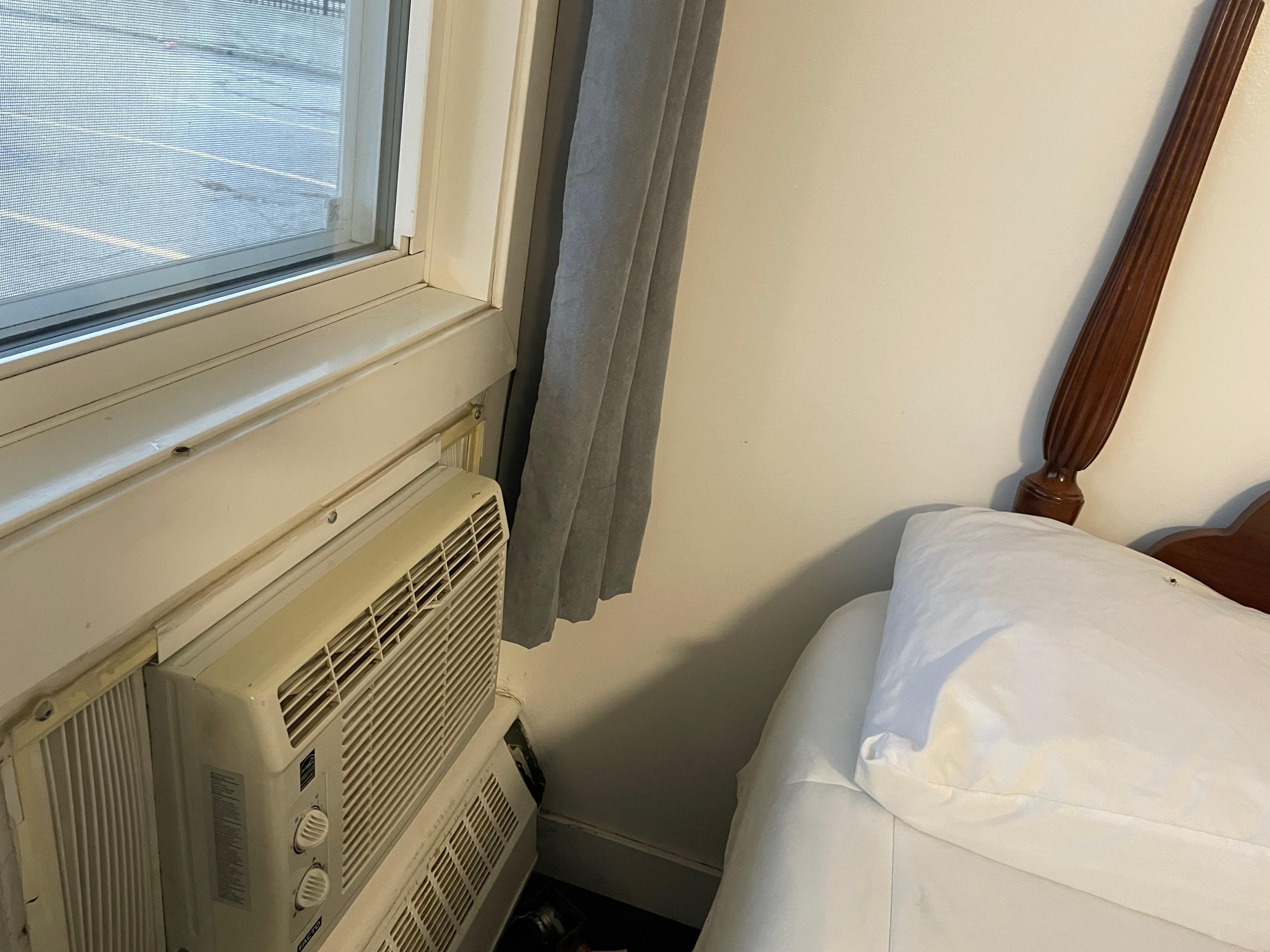 If you expand this picture, you will see a bug crawling on the pillow. You will see one on the windowsill as well, and one by the heater.