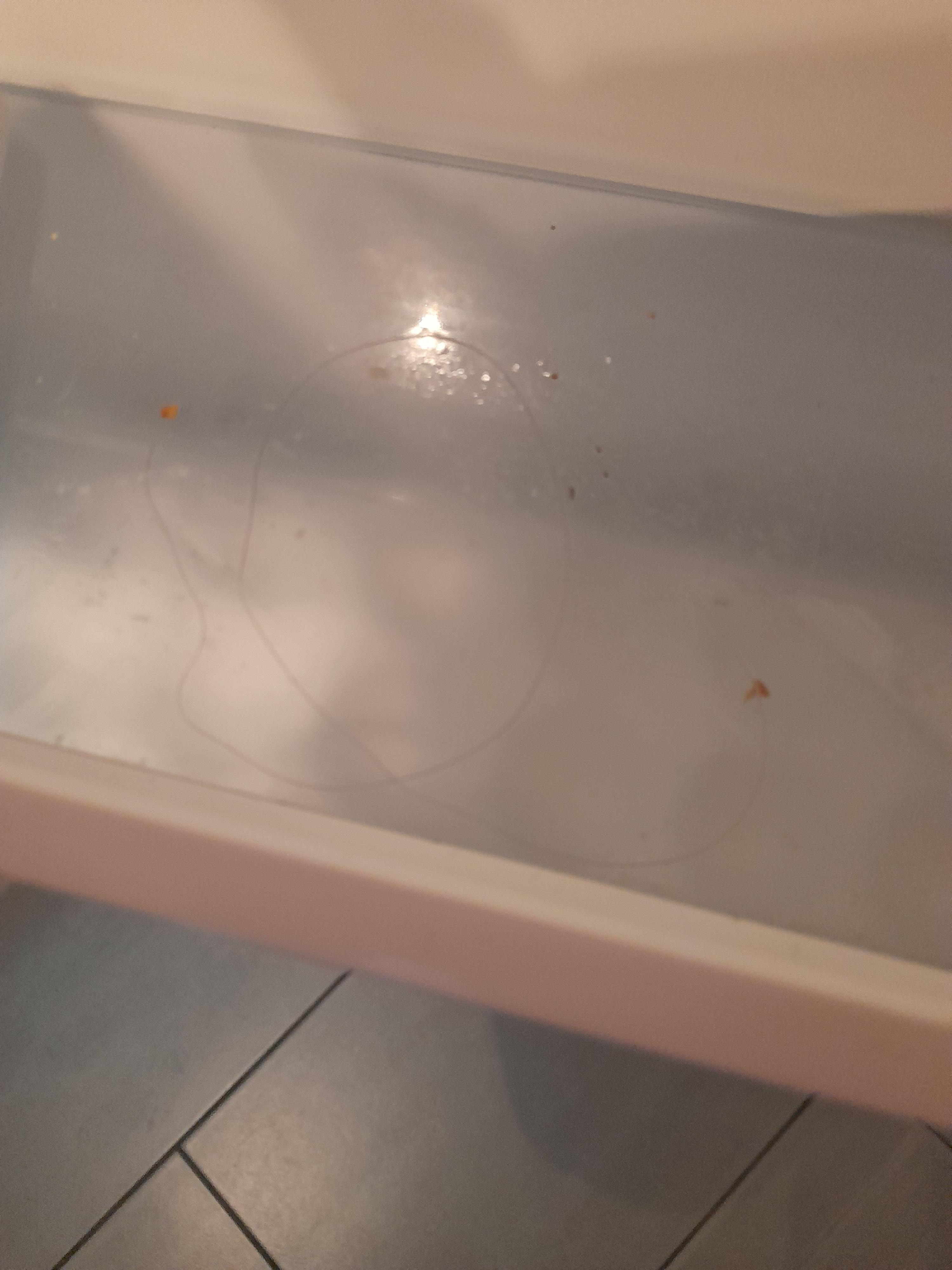 Haare im Kühlschrank