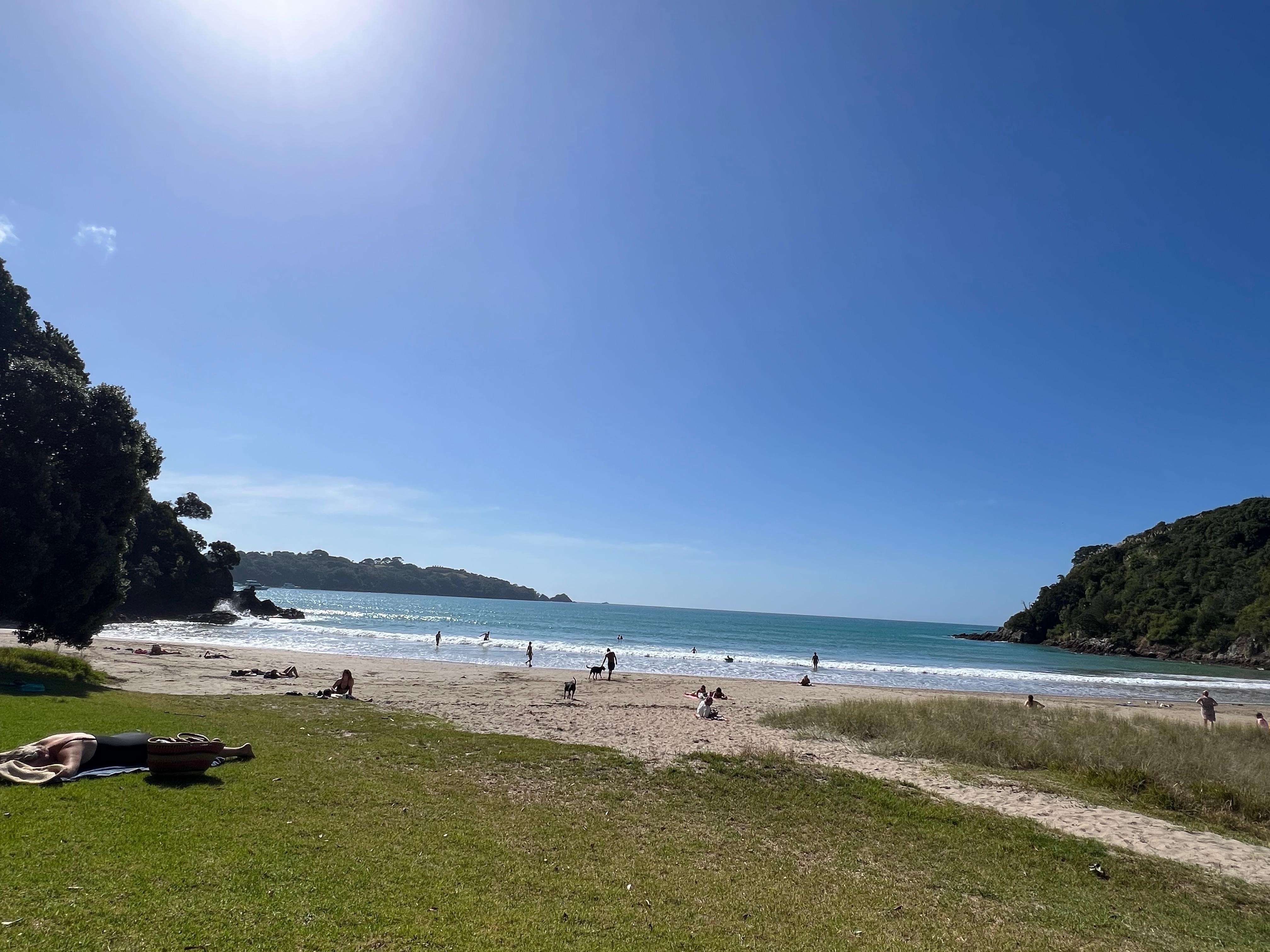 Little Oneroa Beach is an easy short walk from the bach
