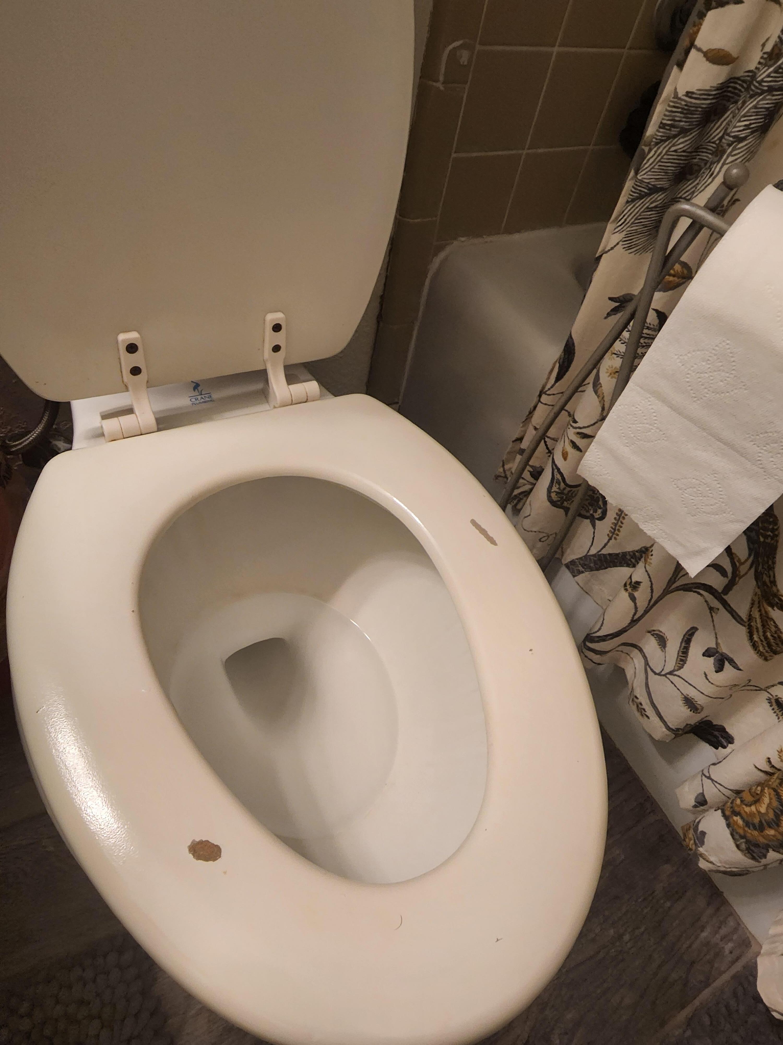 toilet lid worn and wrong size for toilet
