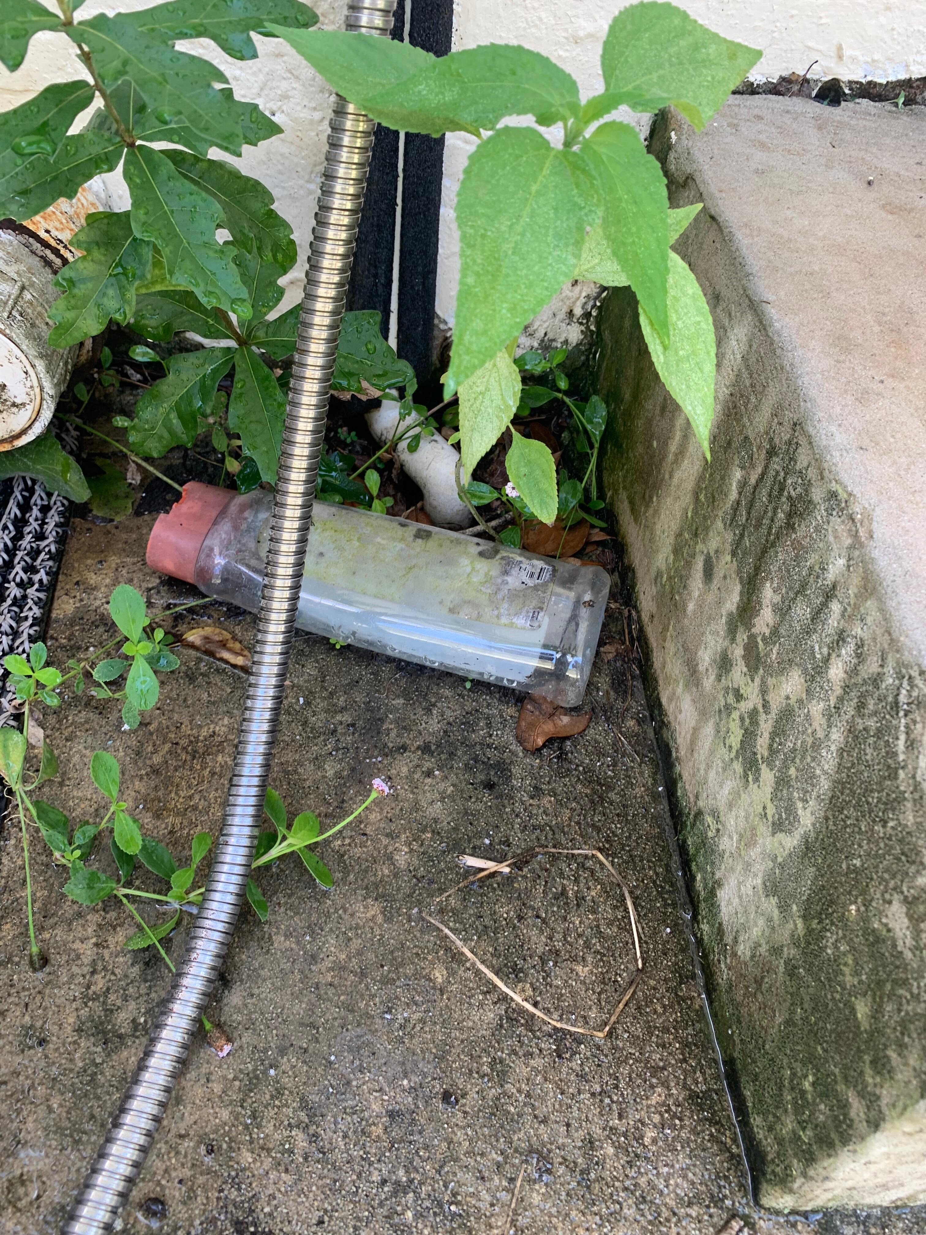 General garbage around the house.