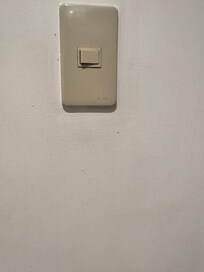 Ameisenähnliche Tiere um die Steckdose herum