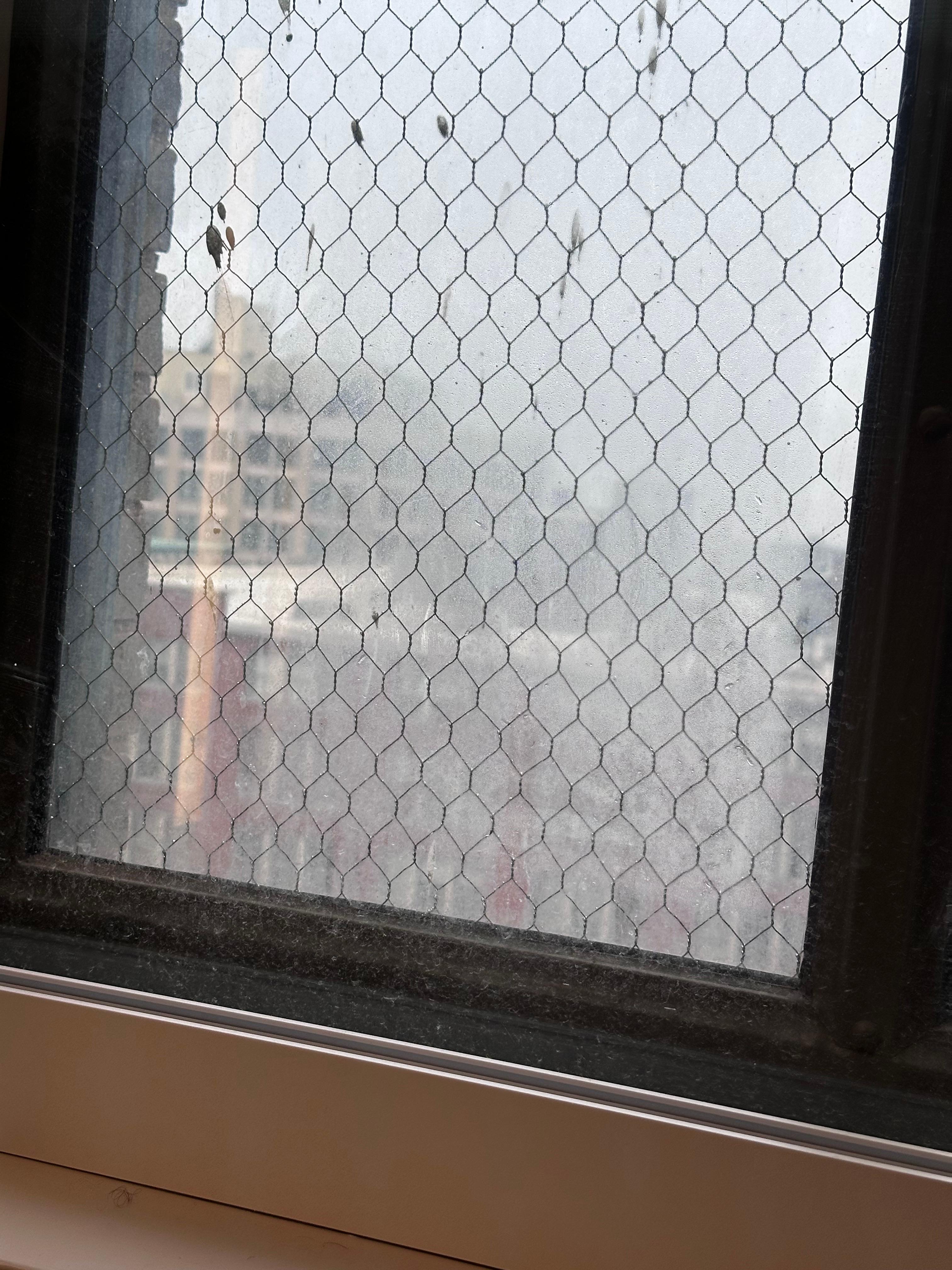 O h& I forgot to say there was no microwave in the room. 