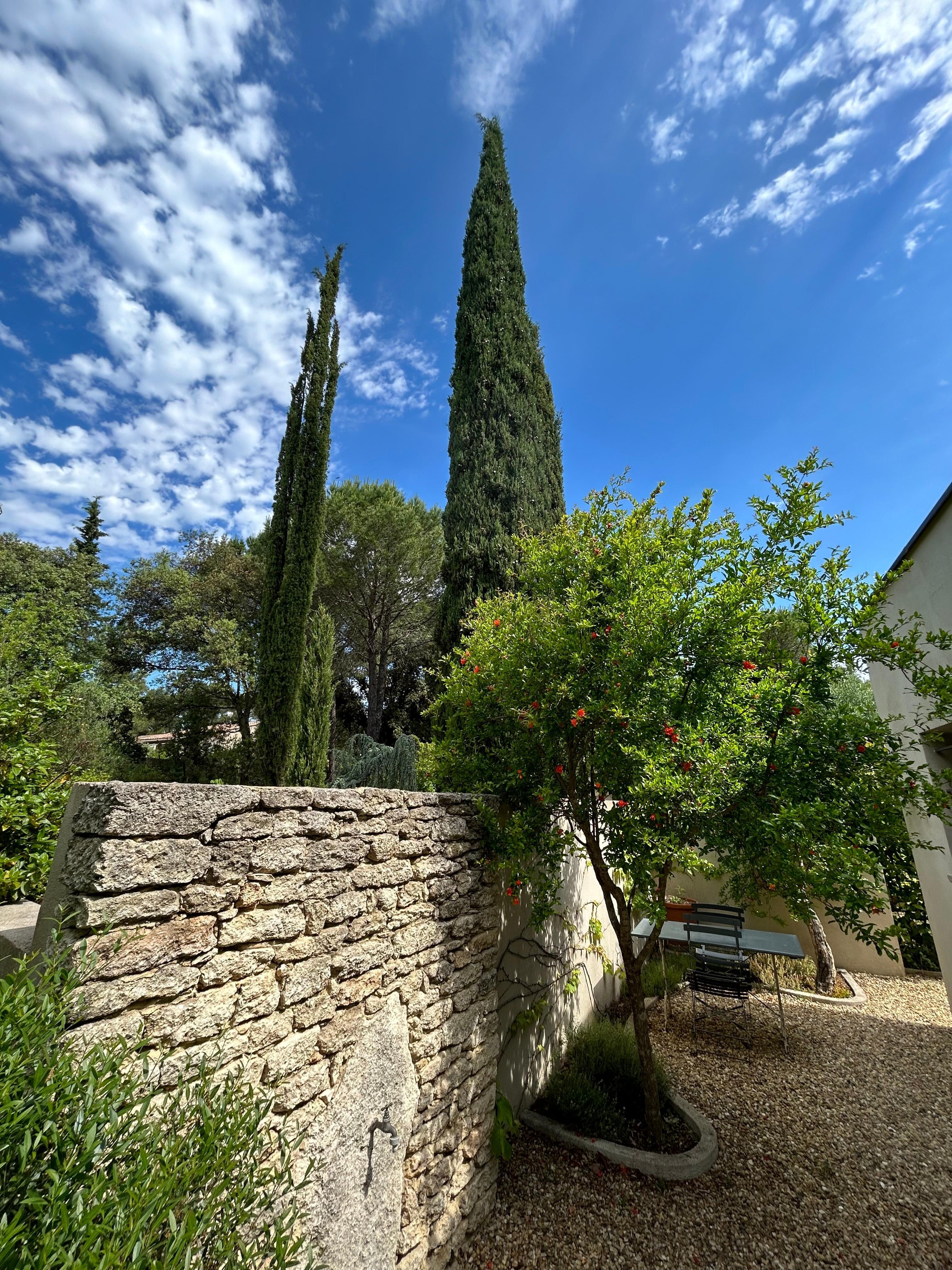 Grounds of the house.