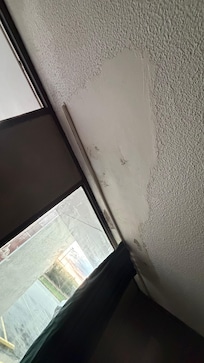 Mold
