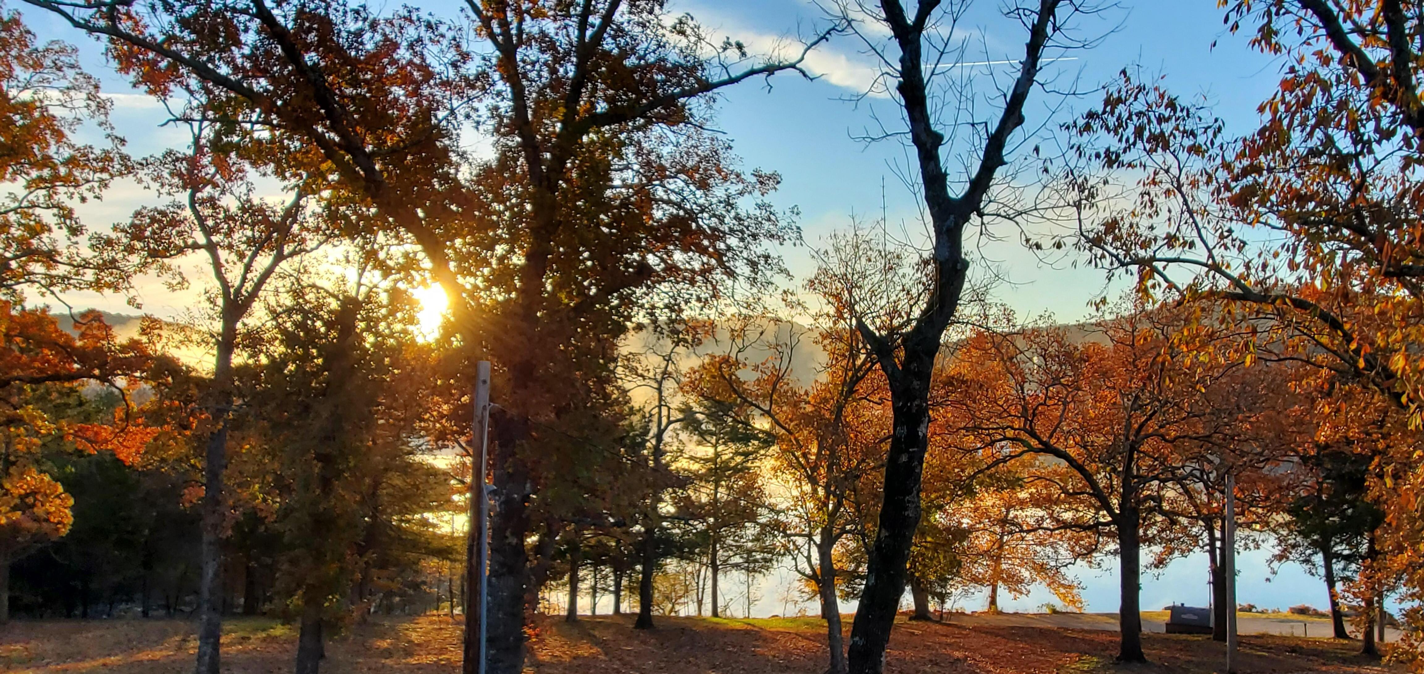 Morning looking off of the deck as sun rises. 