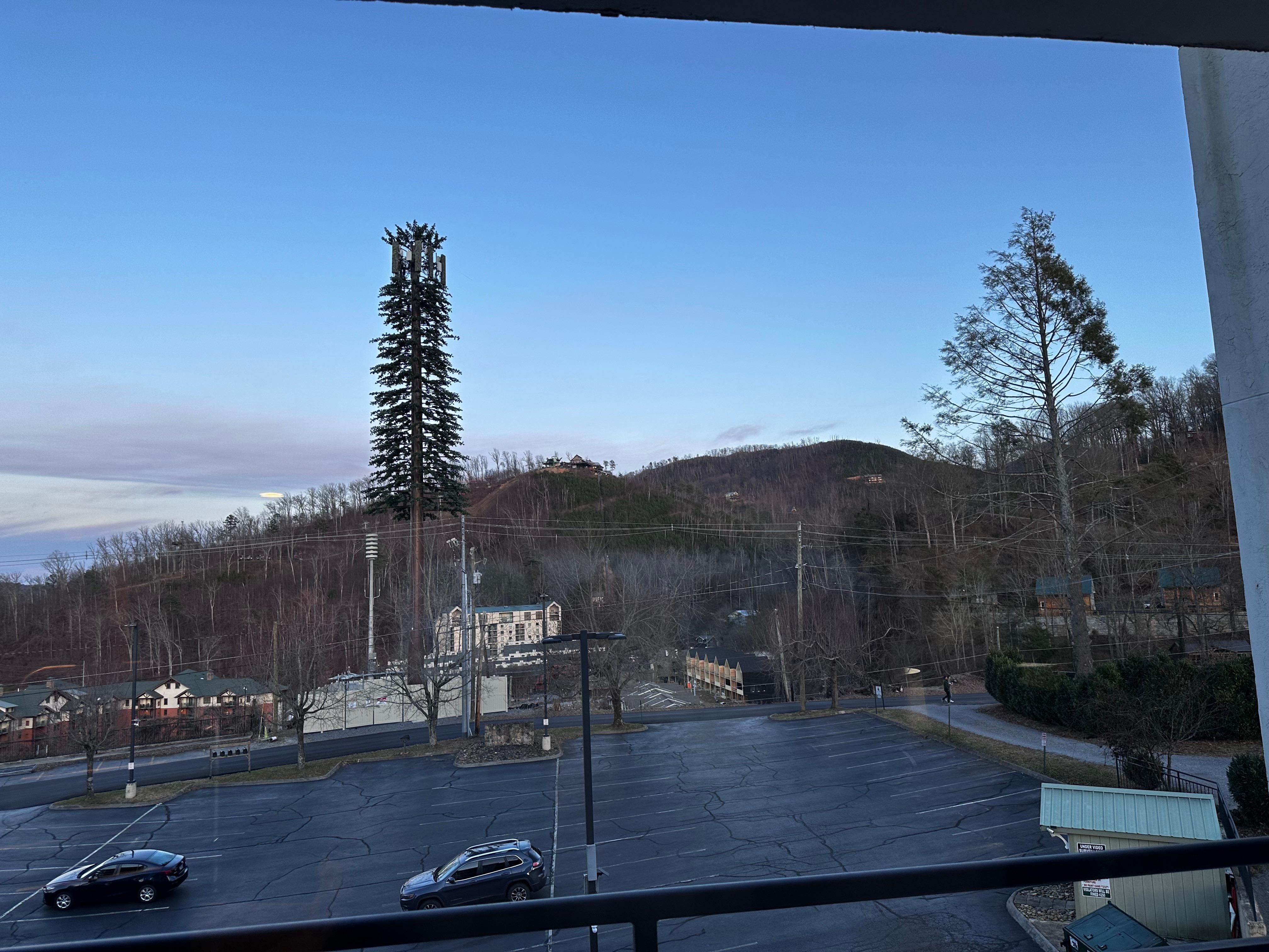 View from the living room window