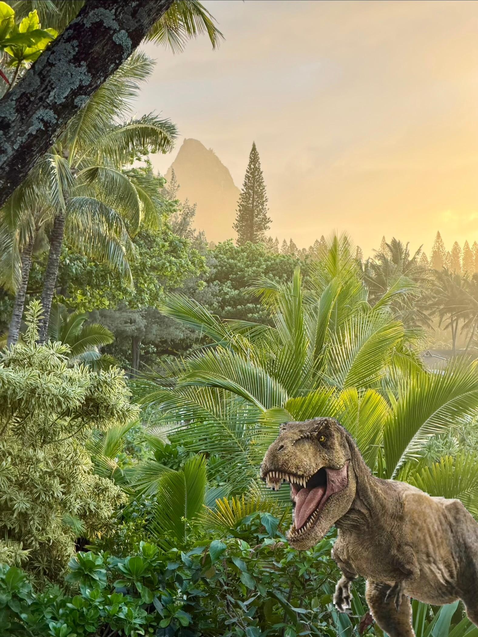 Don’t leave meat out at night