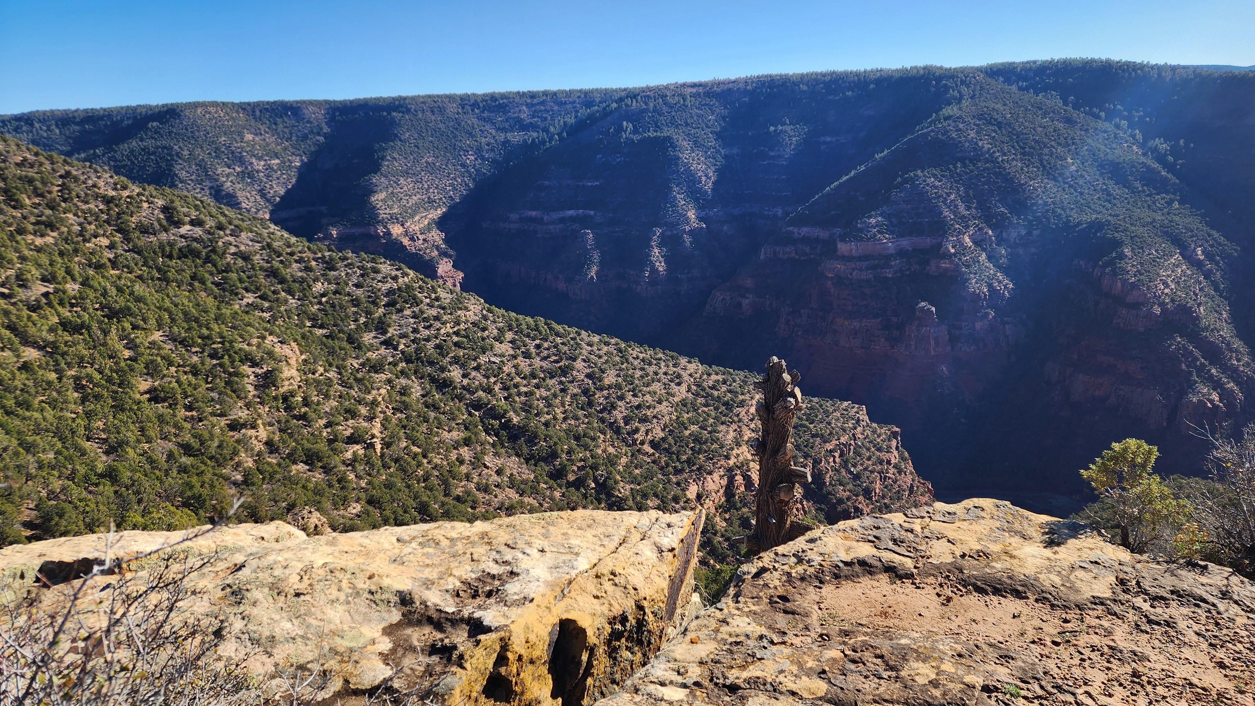 View of the Dolores River Gorge