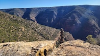 View of the Dolores River Gorge