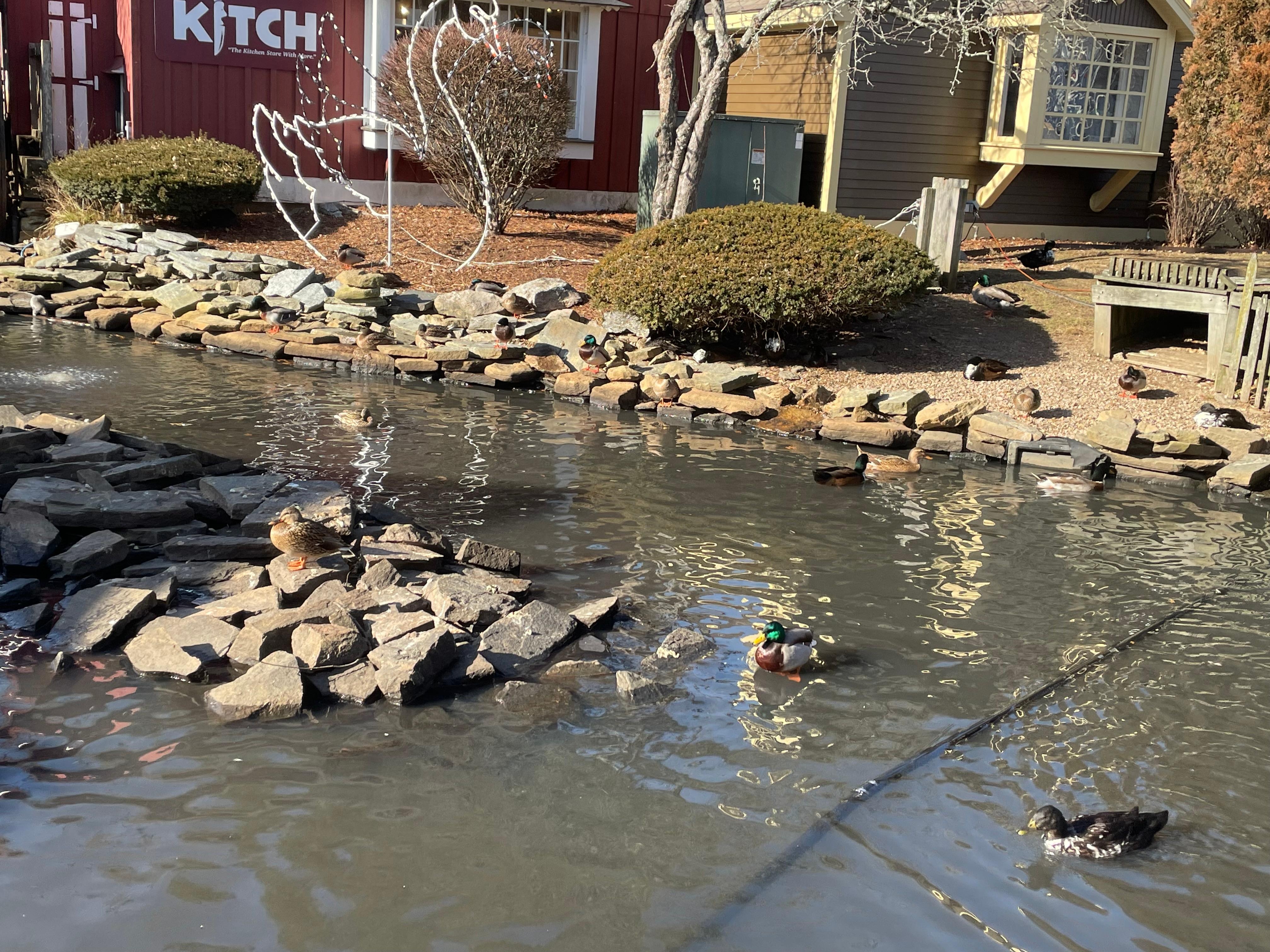 Beatiful Mystic Village minutes away.