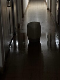 Goteira no corredor. Já imaginou dentro?