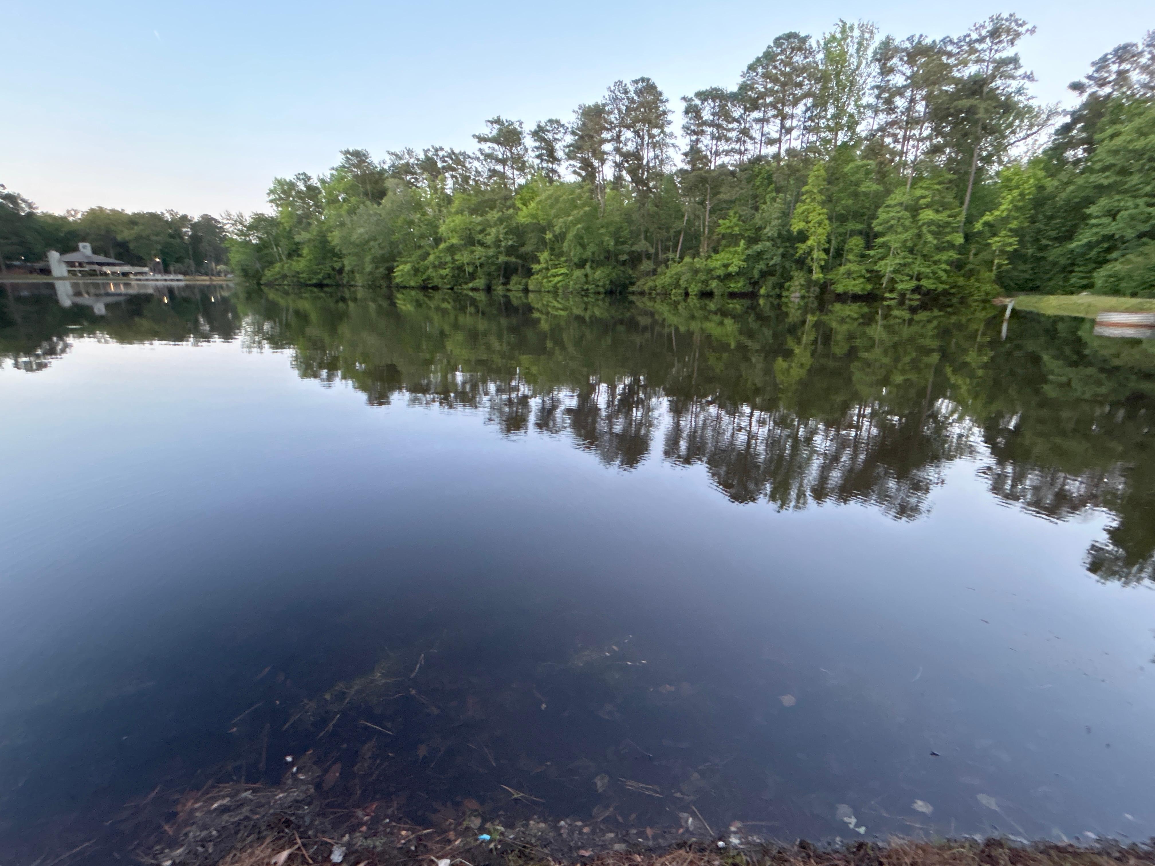 View of the lagoon. 