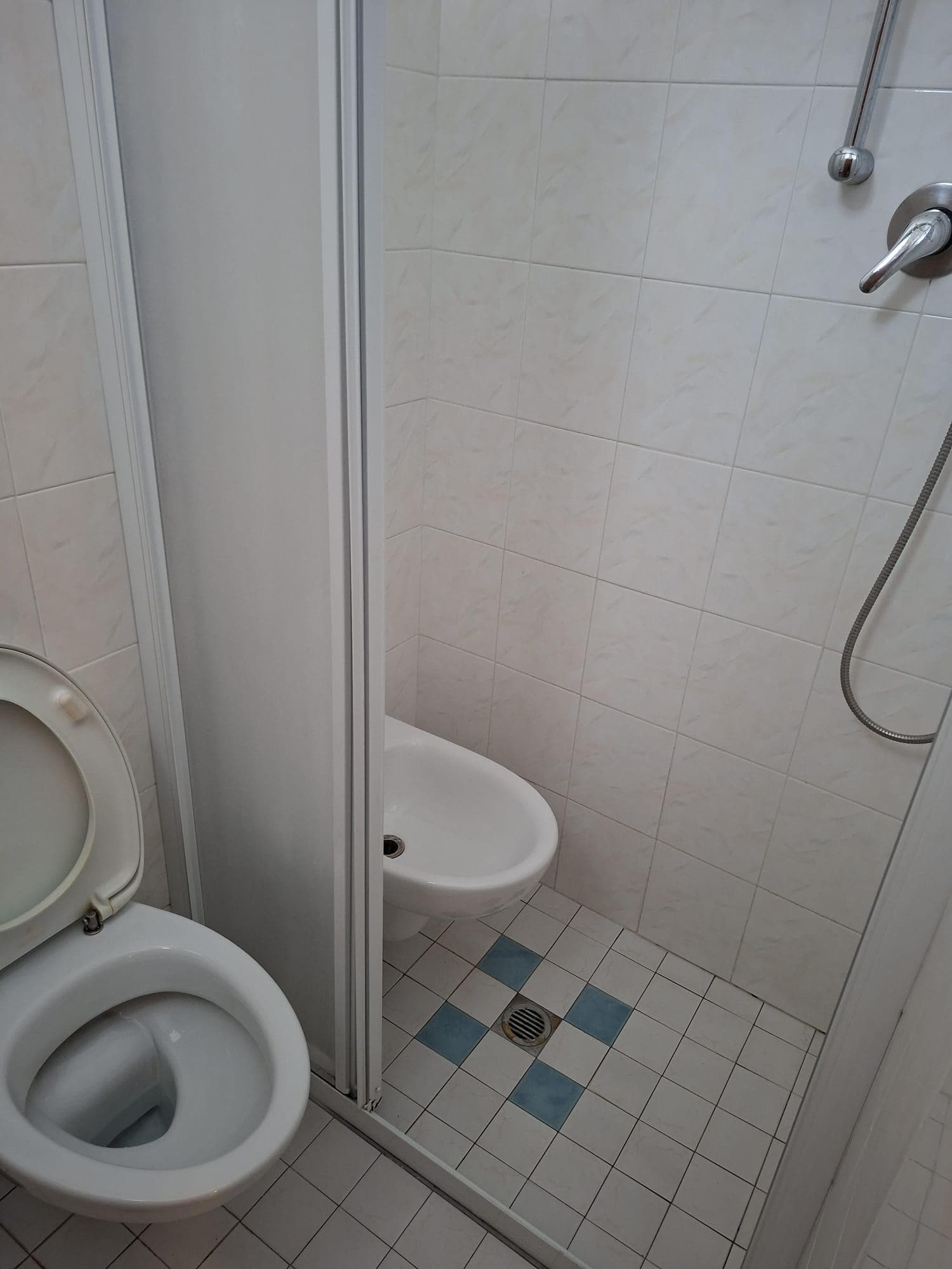 Ai Clienti che prenotano con l’app di Expedia riservano una camera con questa tipologia bidet incluso nella doccia molto scomodo.