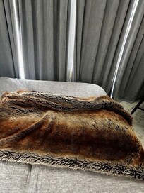 Cute throw that matched the Texas theme!