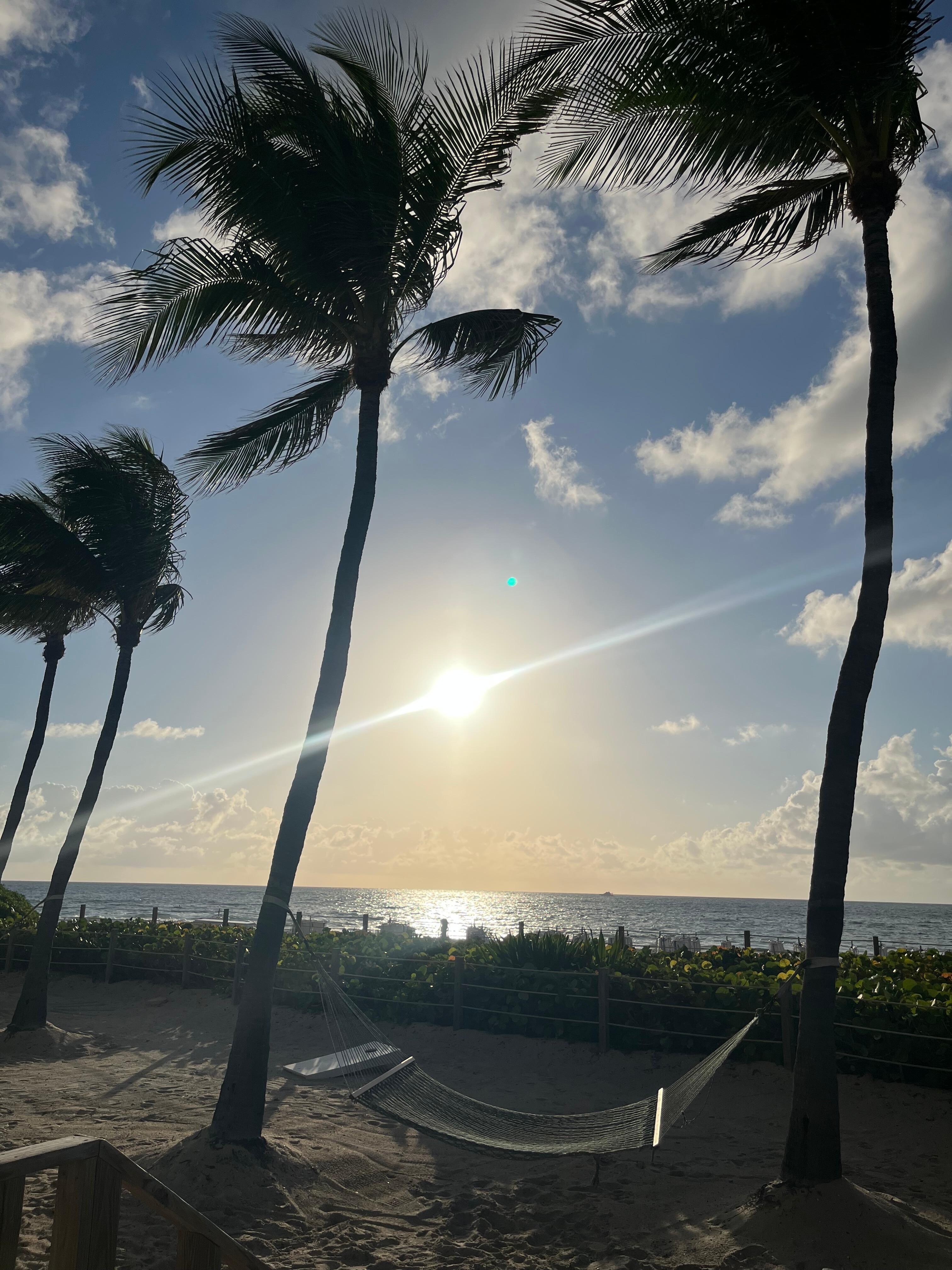 Beautiful sunrise 