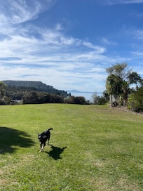 Large semi fenced backyard area