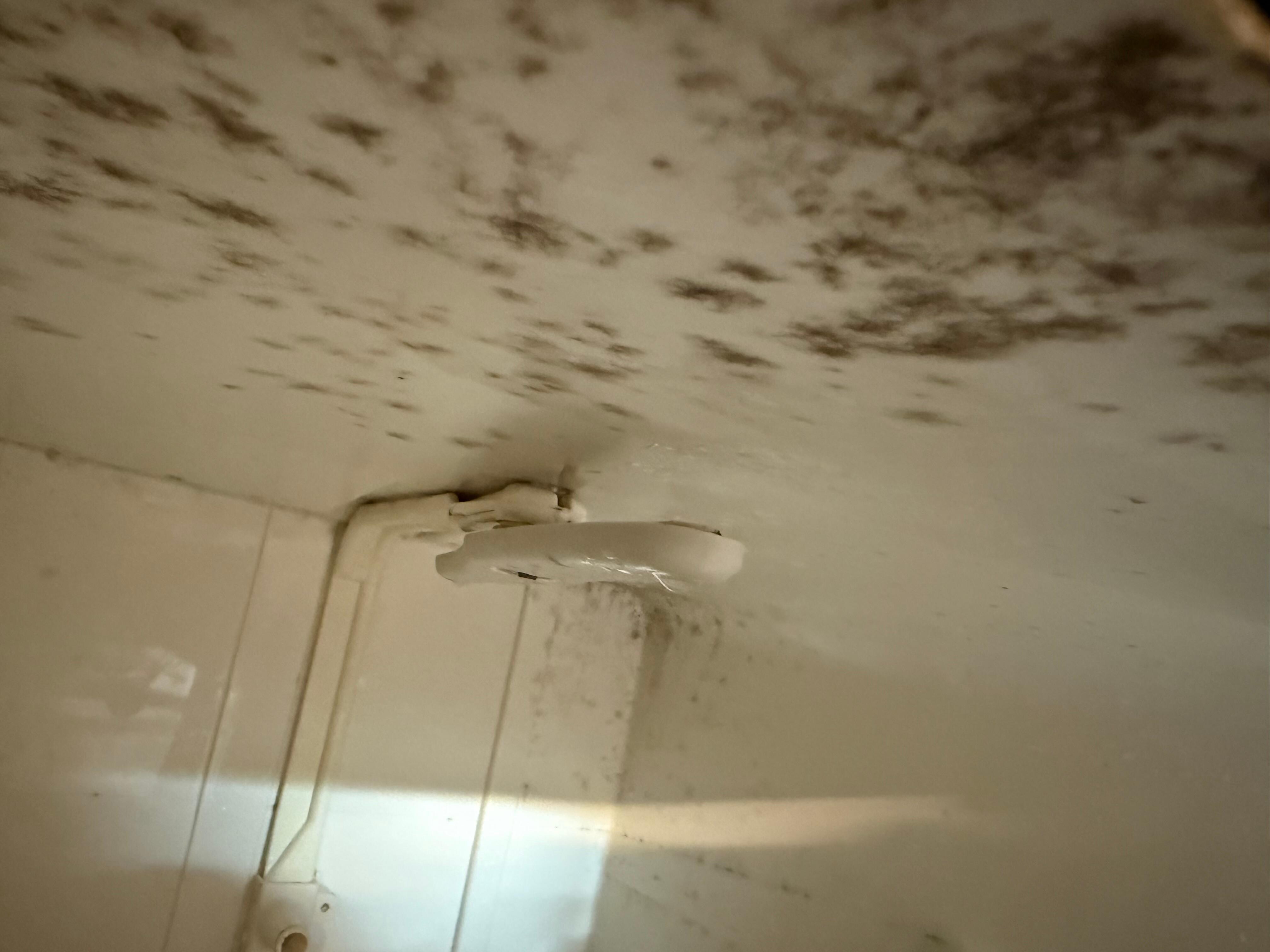 Inside of dishwasher- thatâs mold!