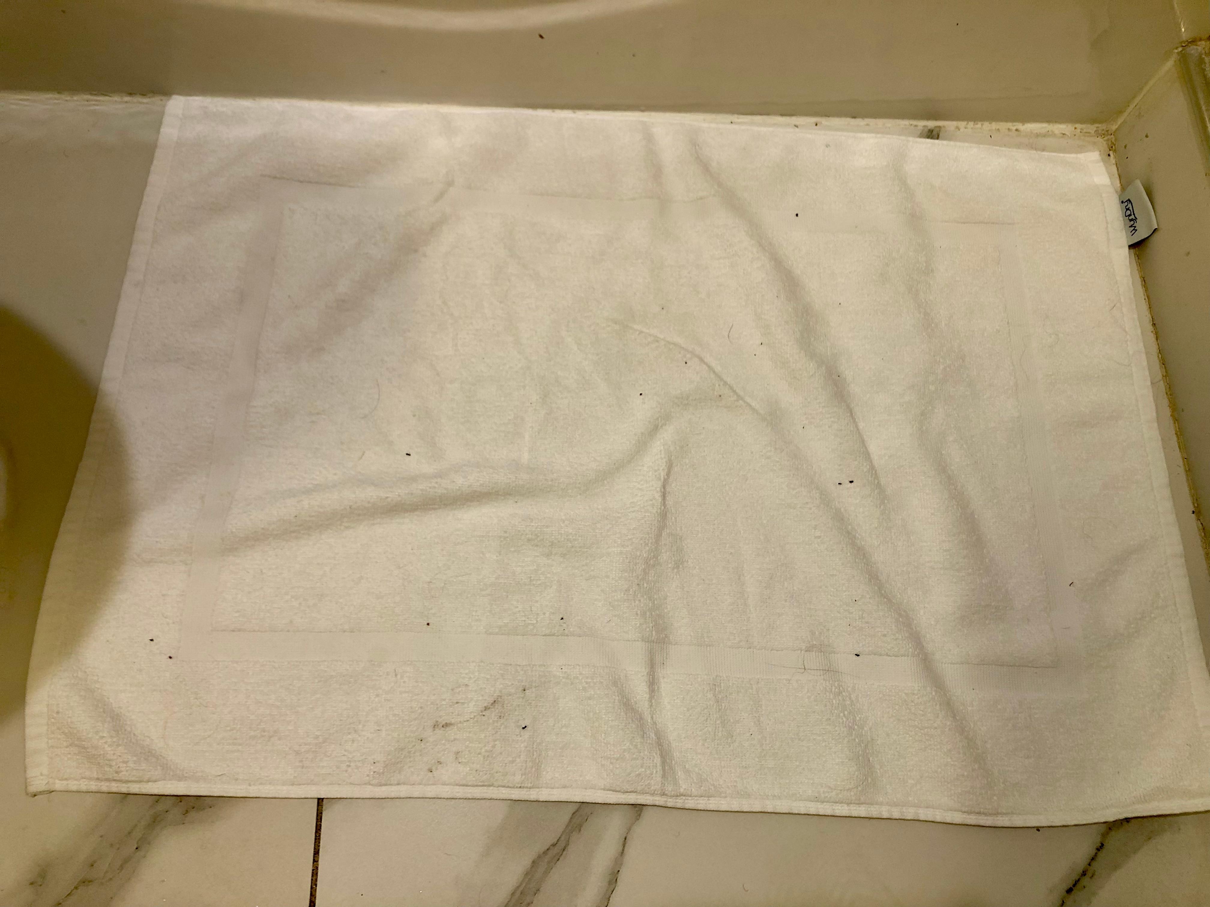 The dots you see on the bath towel are the ants from wiping our feet.