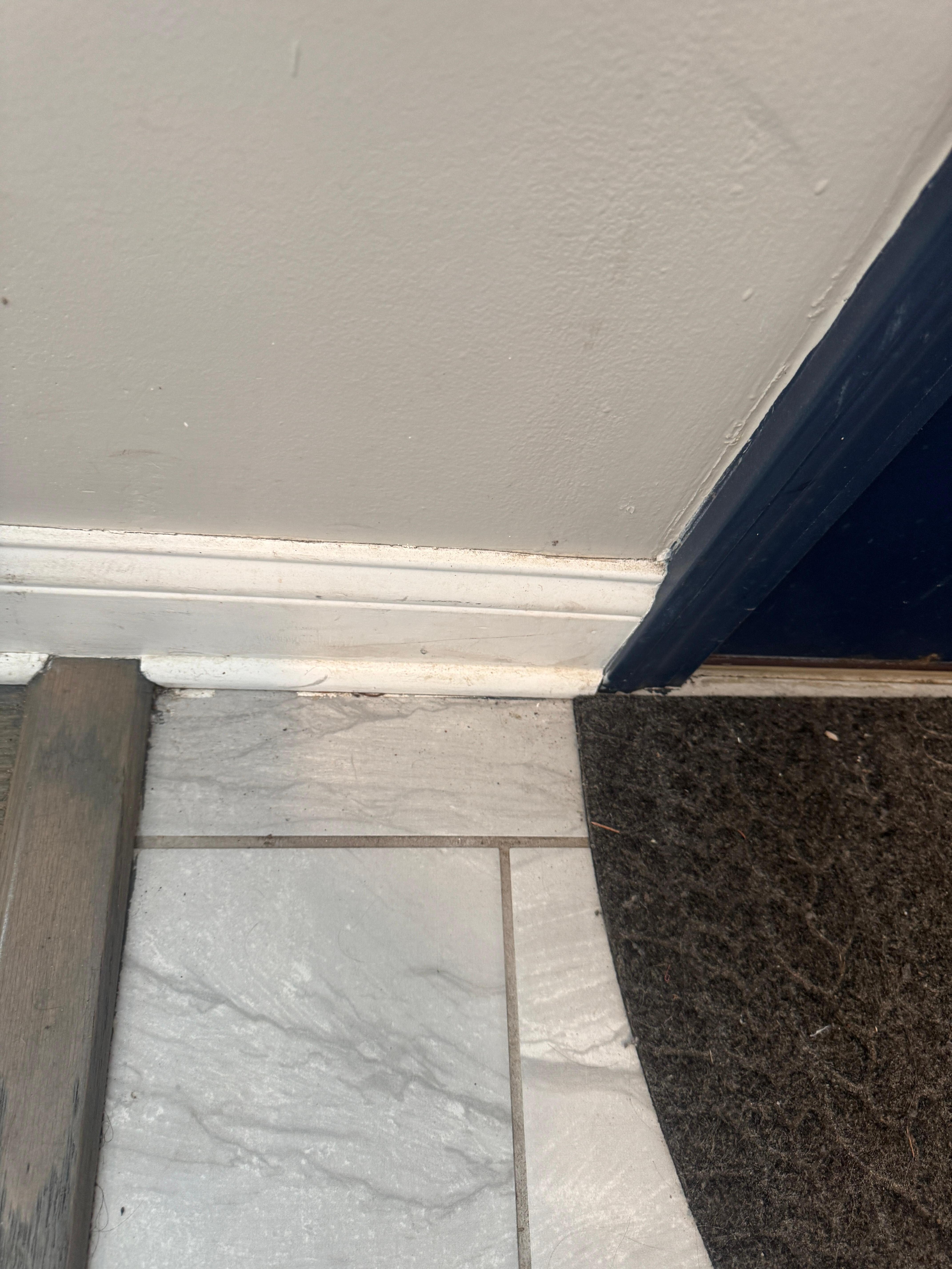 Floor by entry