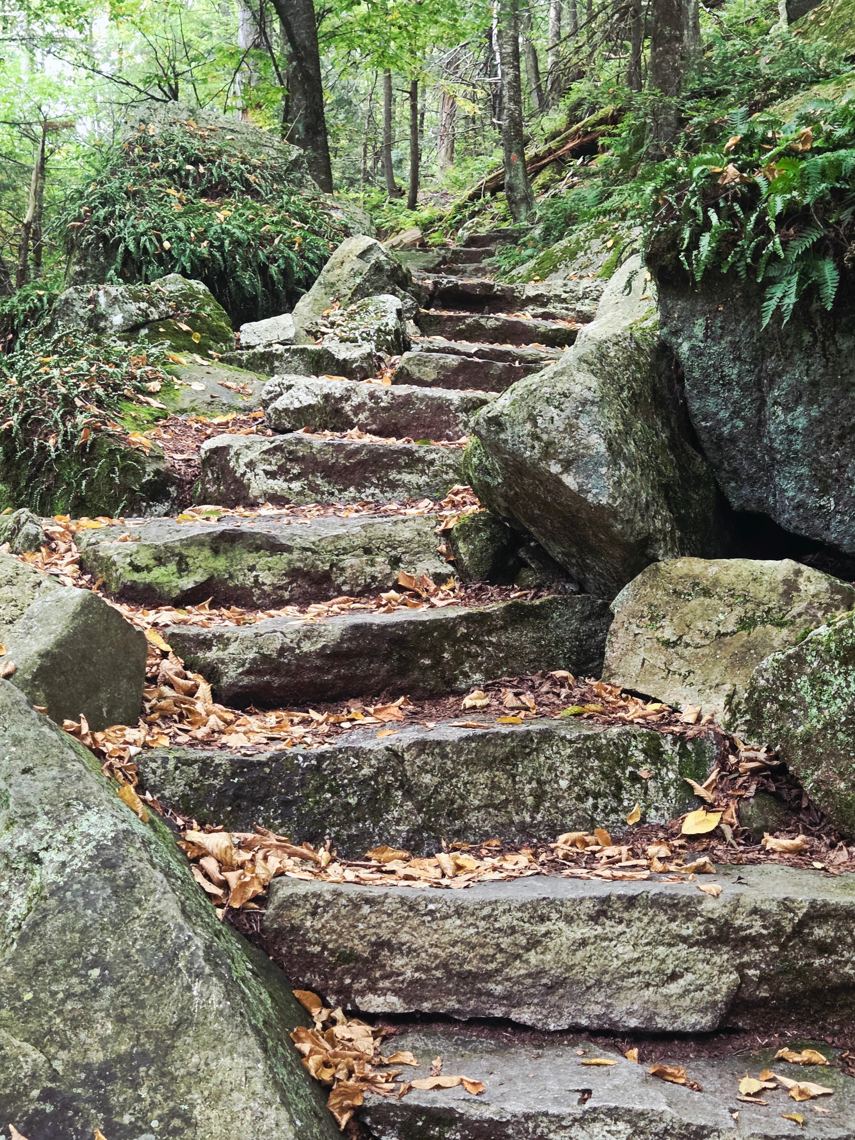 The trail to Rainbow falls