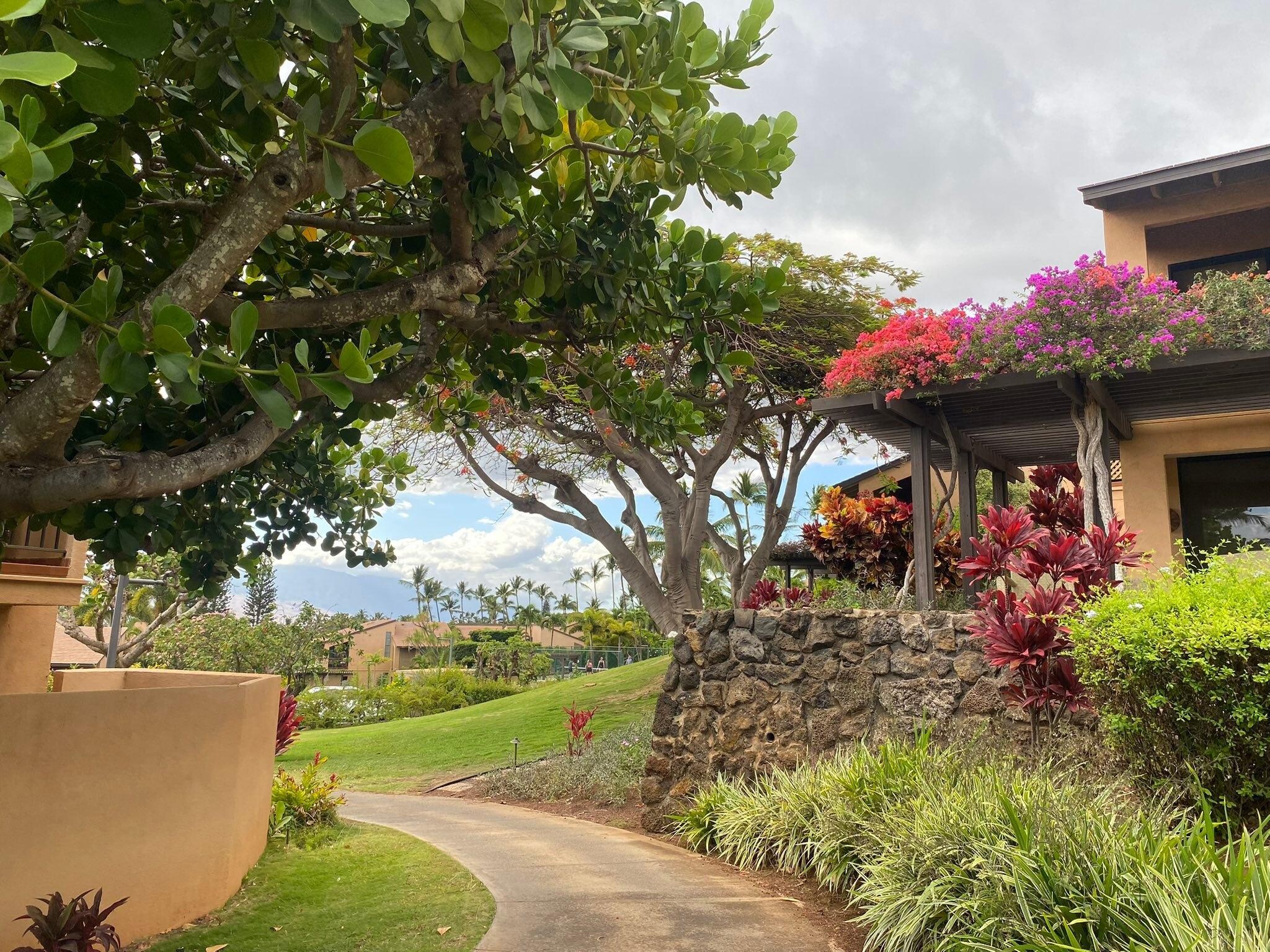 The Garden grounds were like living in a botanical garden